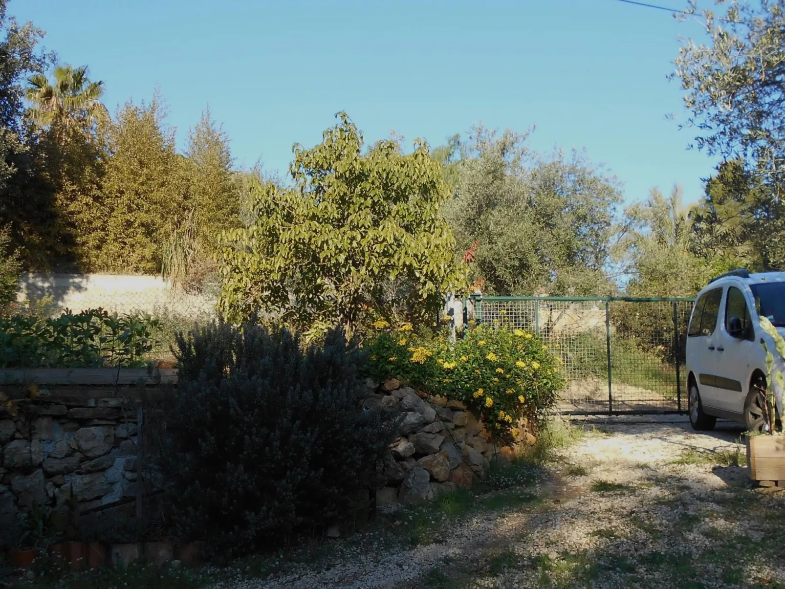 Mit Terrasse, mitten in der Natur-Outside