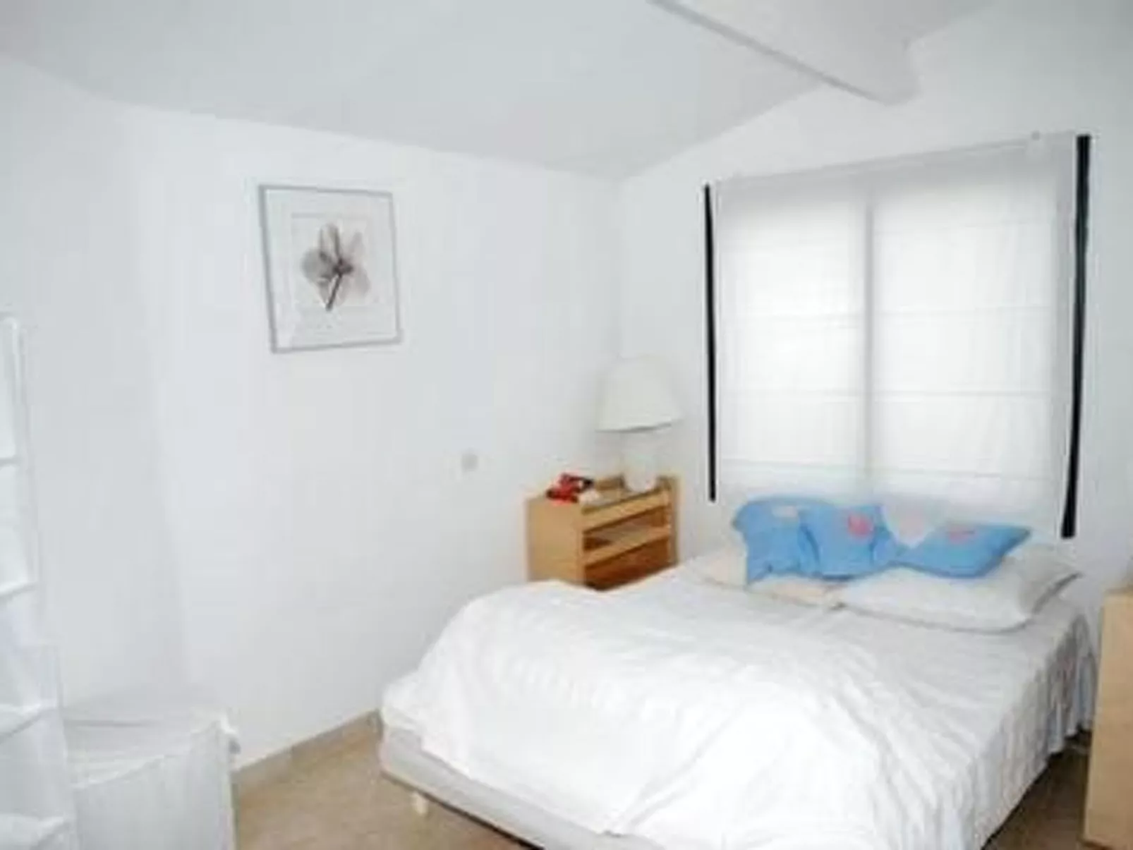 Die kleine Zikade-Dedans