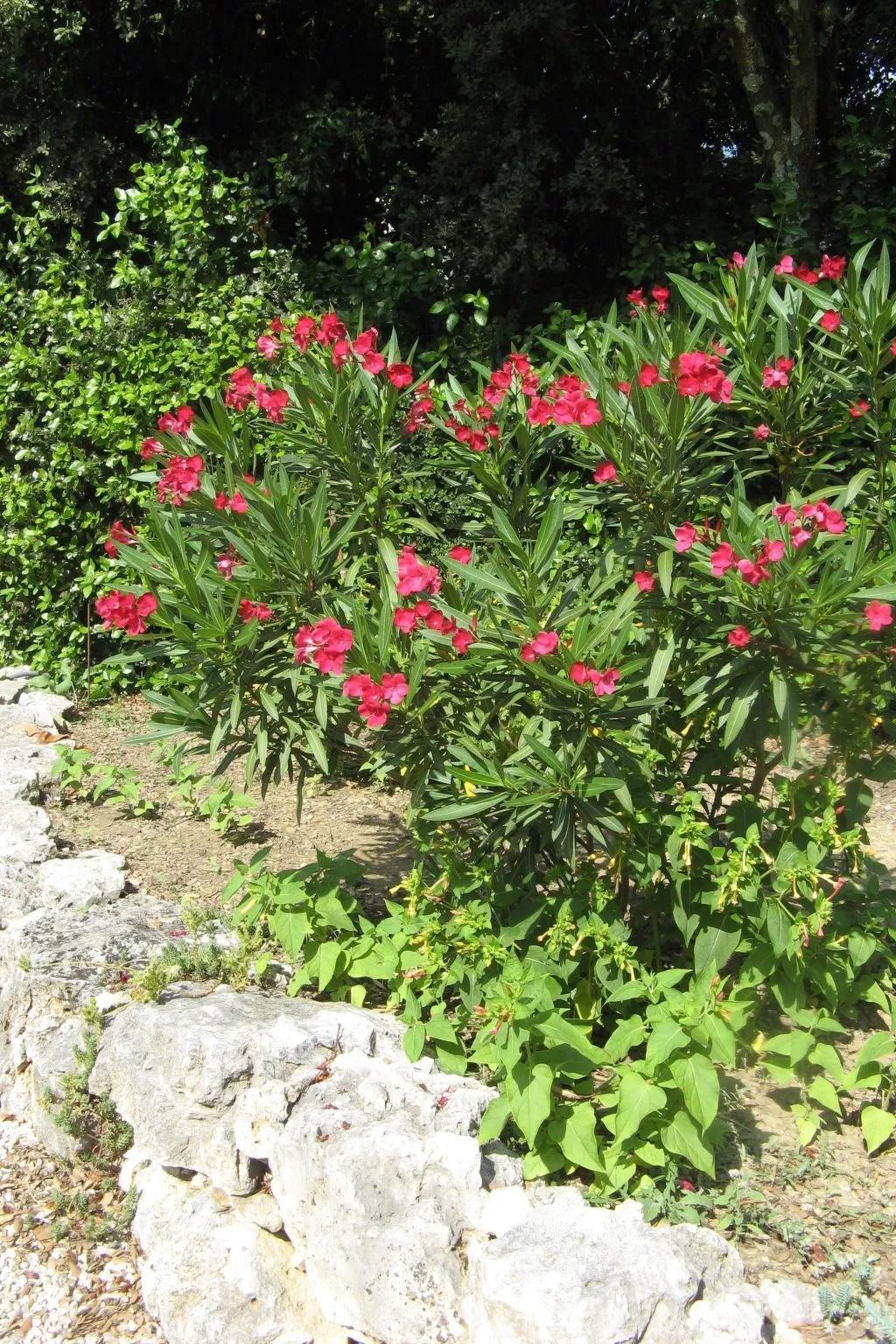 À l'abri du Mistral-Dehors