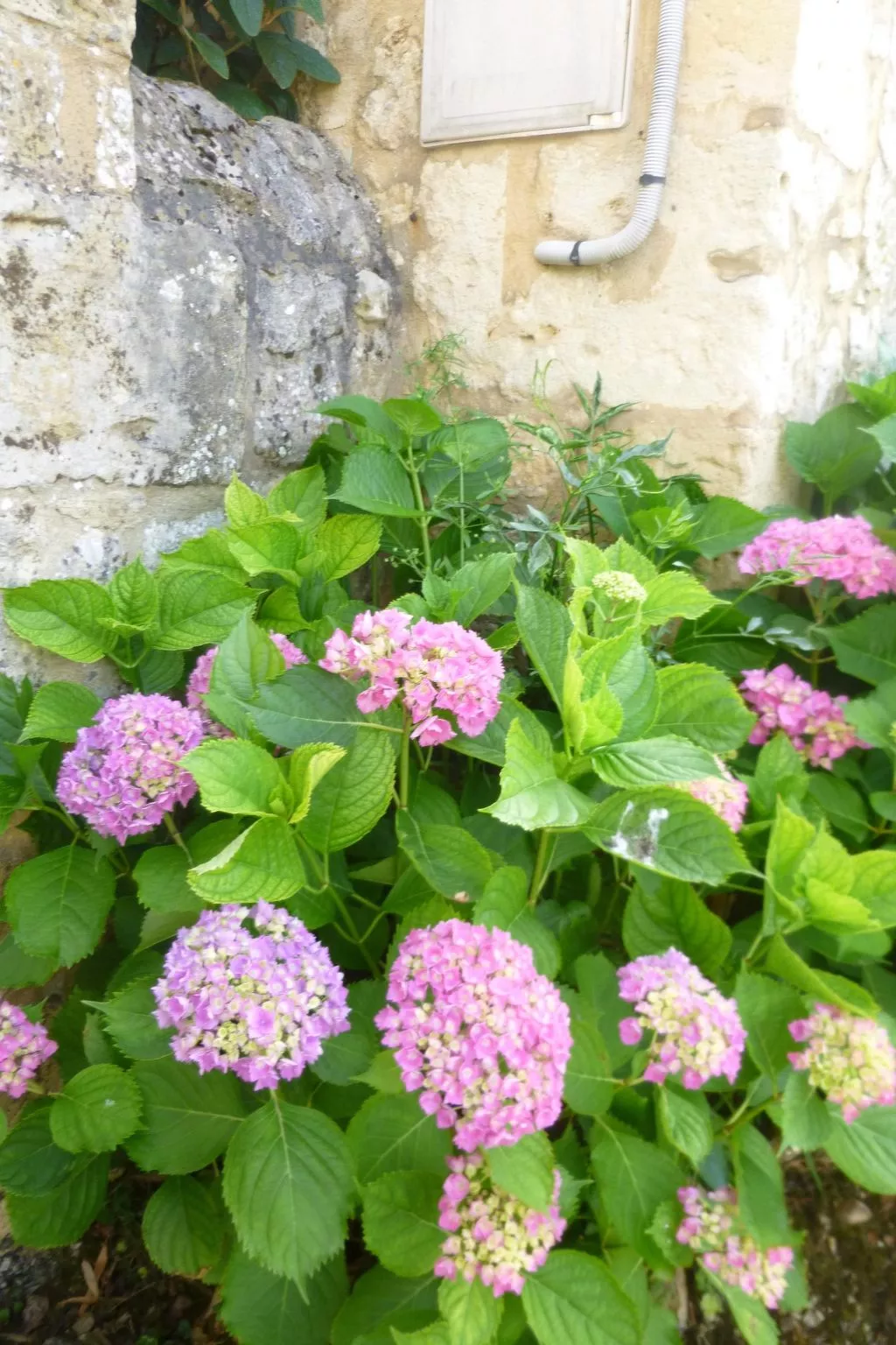 Fachwerkhaus "gitealienor perigord"-Outside