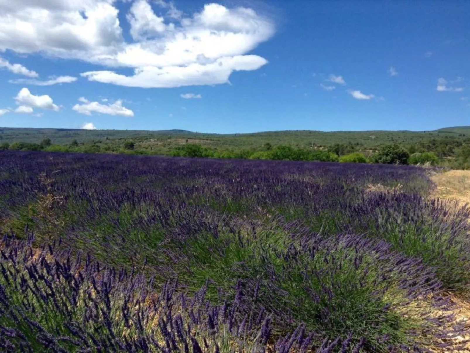 Morard - Bonnieux Appt Bleu Provence-Draußen
