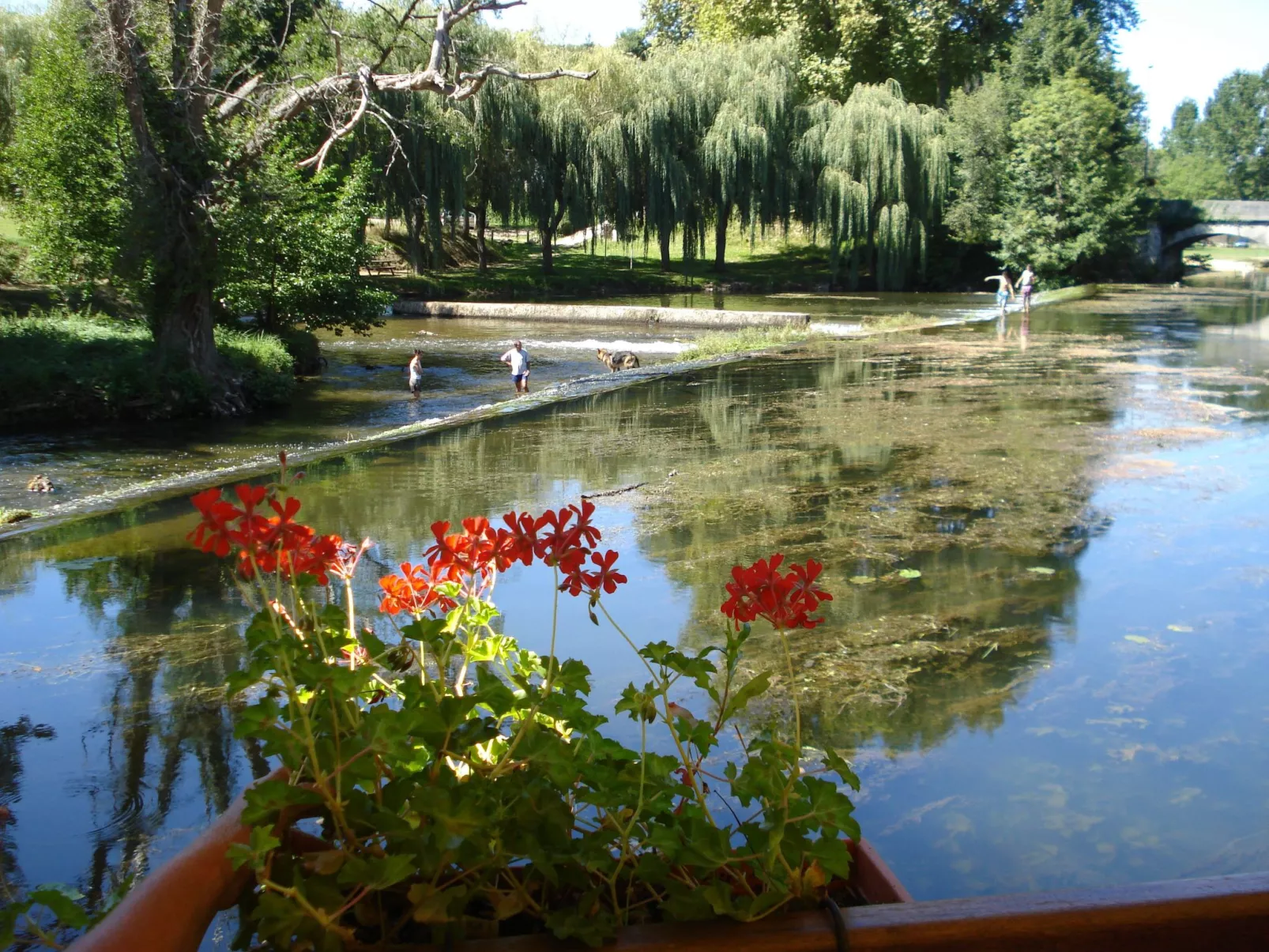 Swimmingpool, Garten, Aussicht, Stille, Kinder, Spielzeug-Outside