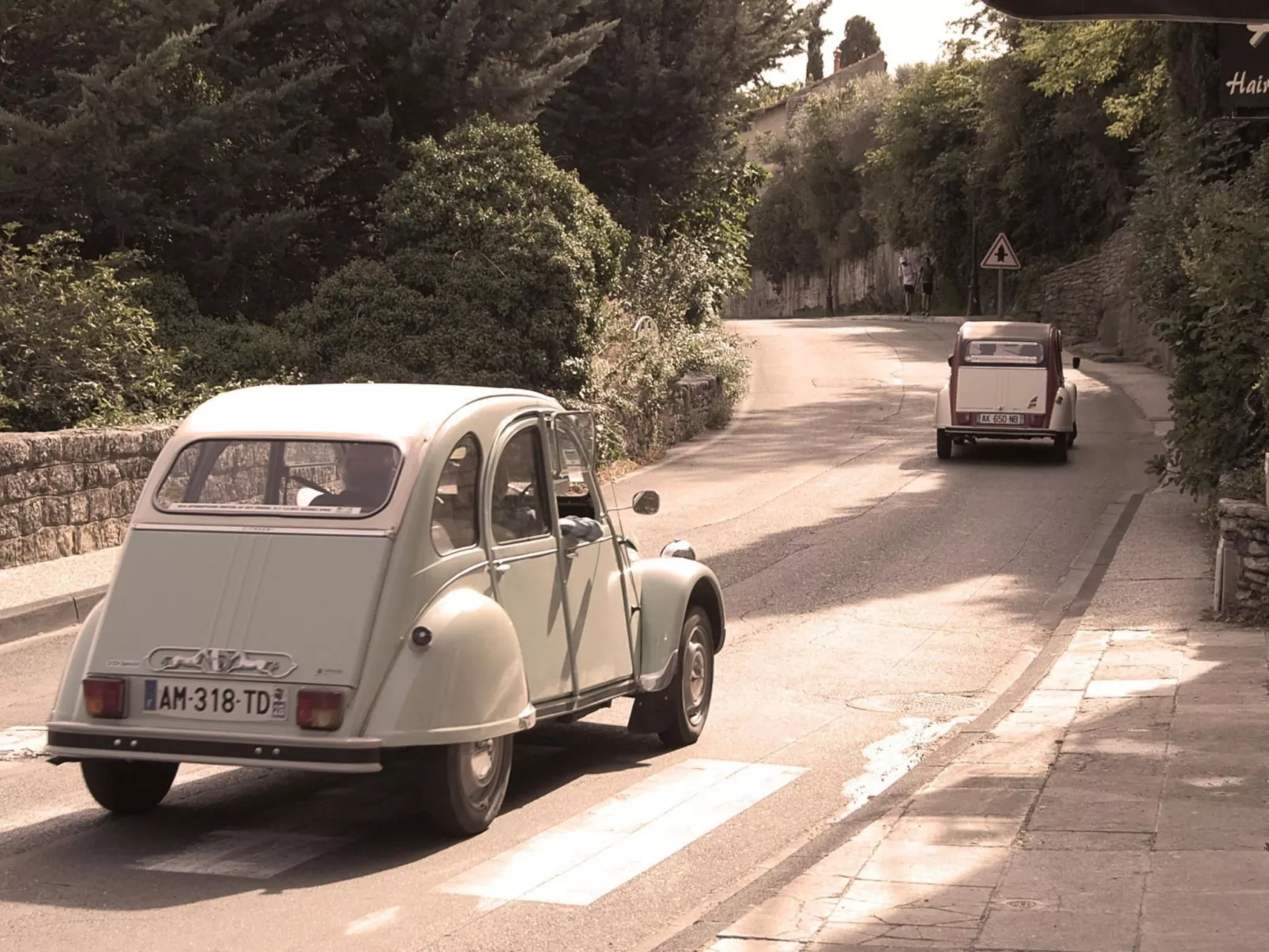 Cypres du Paradis-Draußen