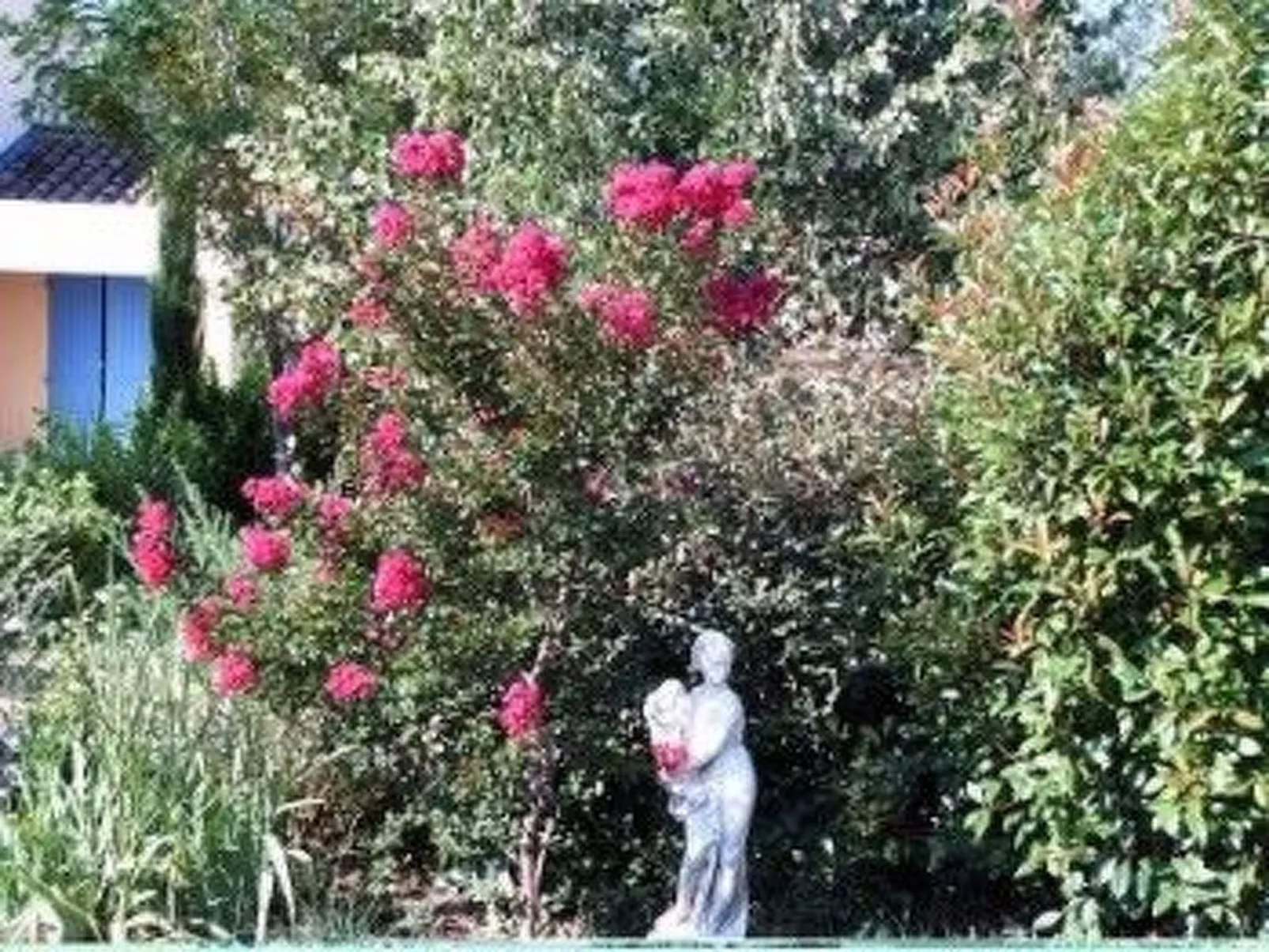 Komfortables Ferienhaus mit Gemeinschaftspool-Draußen