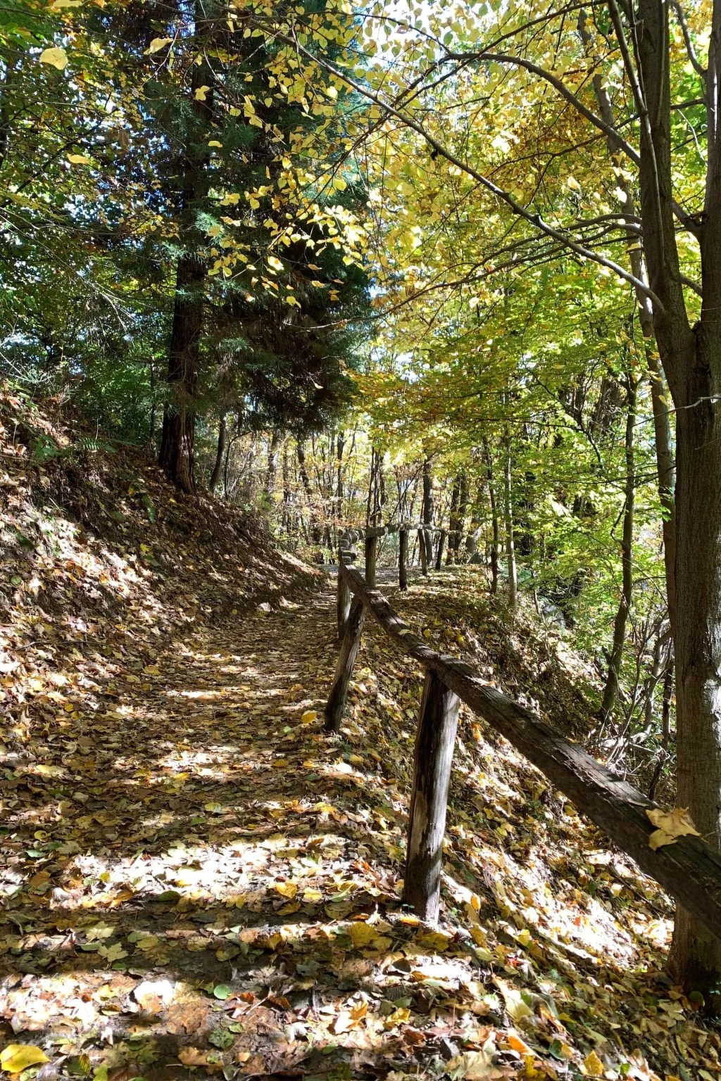 Casa Reduit Terrazza-Draußen