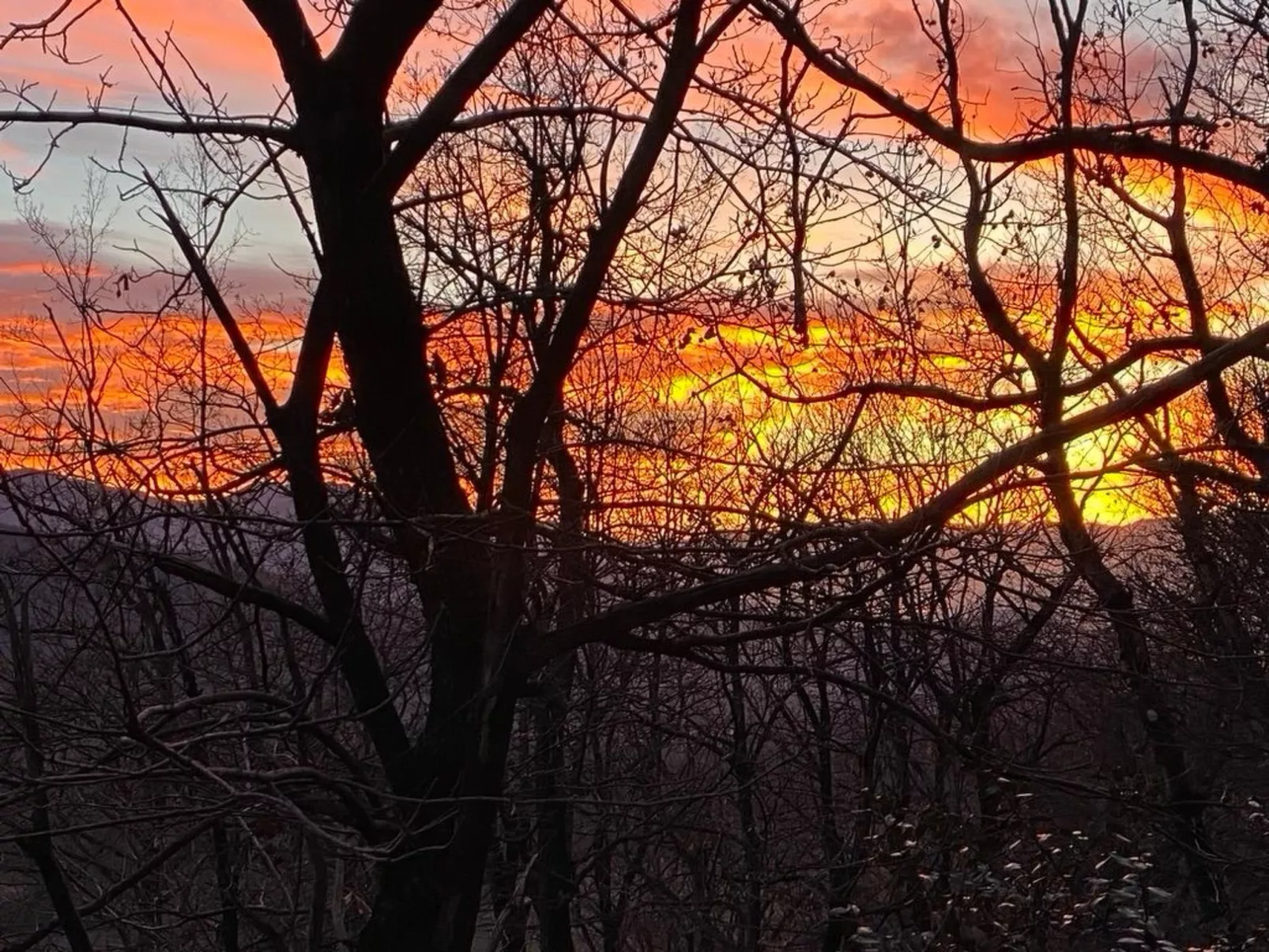 La Romantica-Draußen