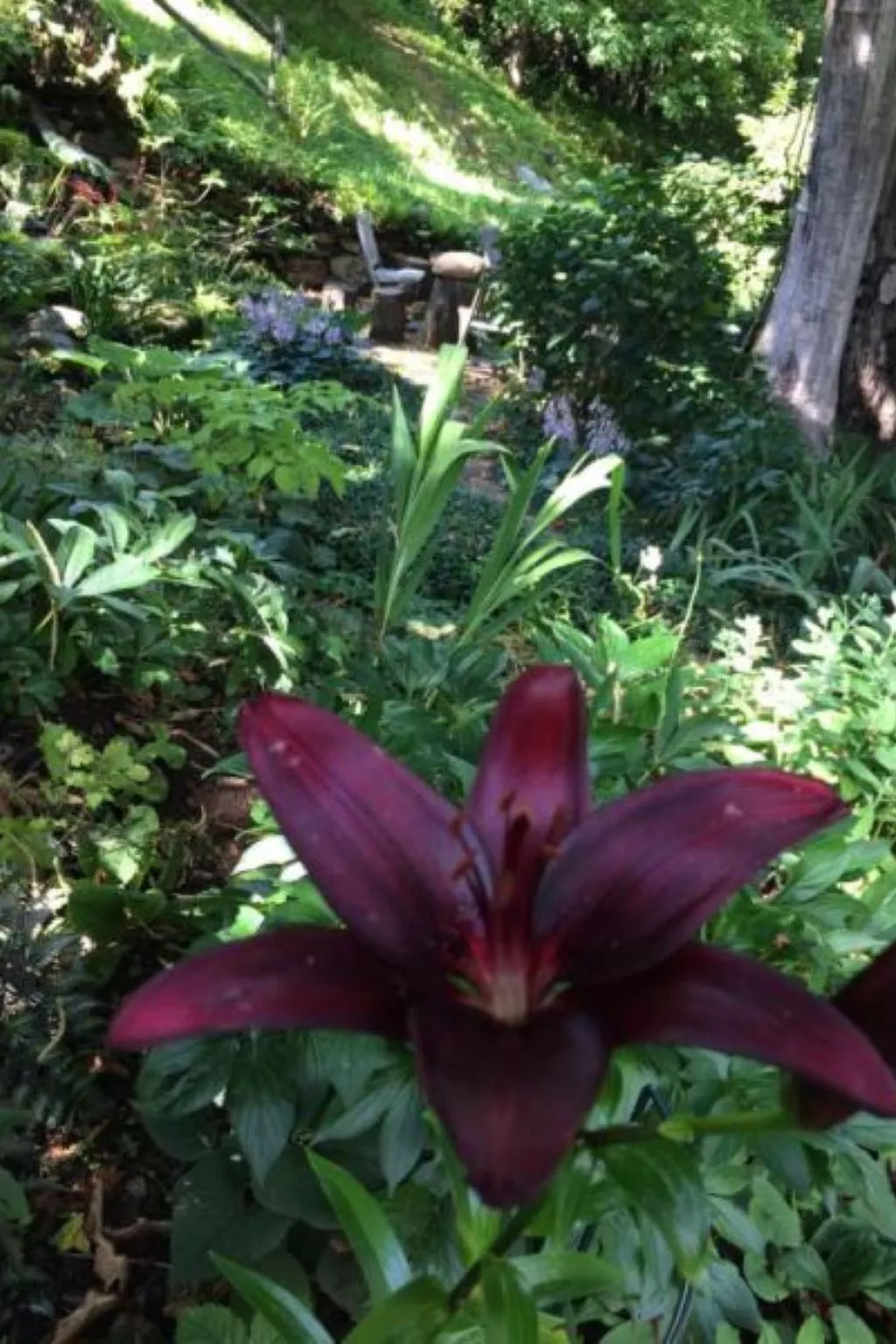 Weg von der Zuvielisation-Draußen