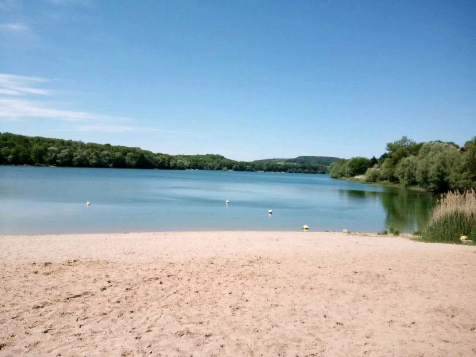 In Celles-En-Bassigny  umzäunter Garten-Dehors