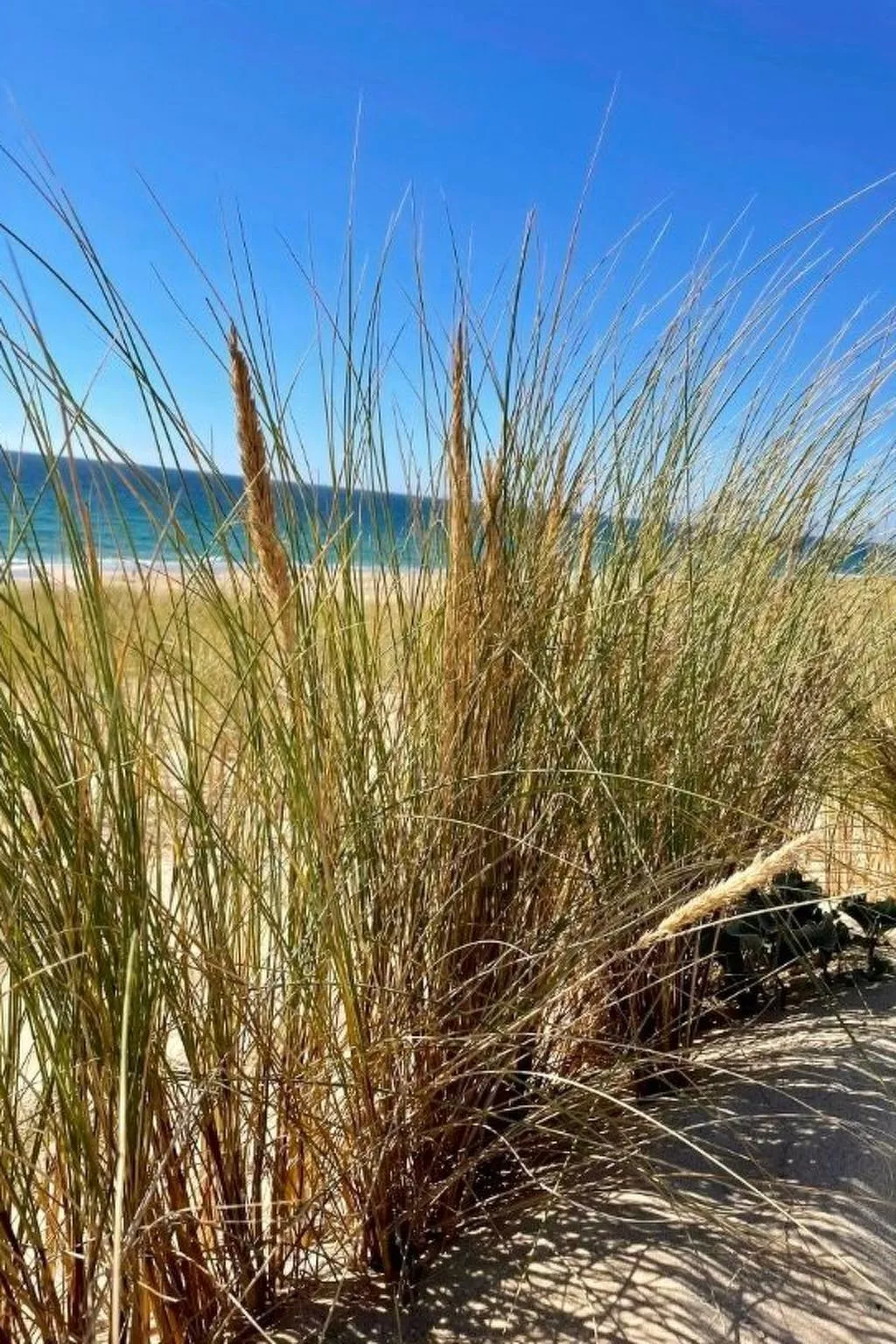 10 p mit beheiztem Pool-Outside