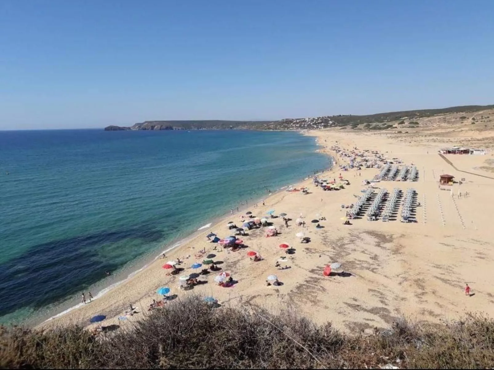 'Miky-Image-tags.info