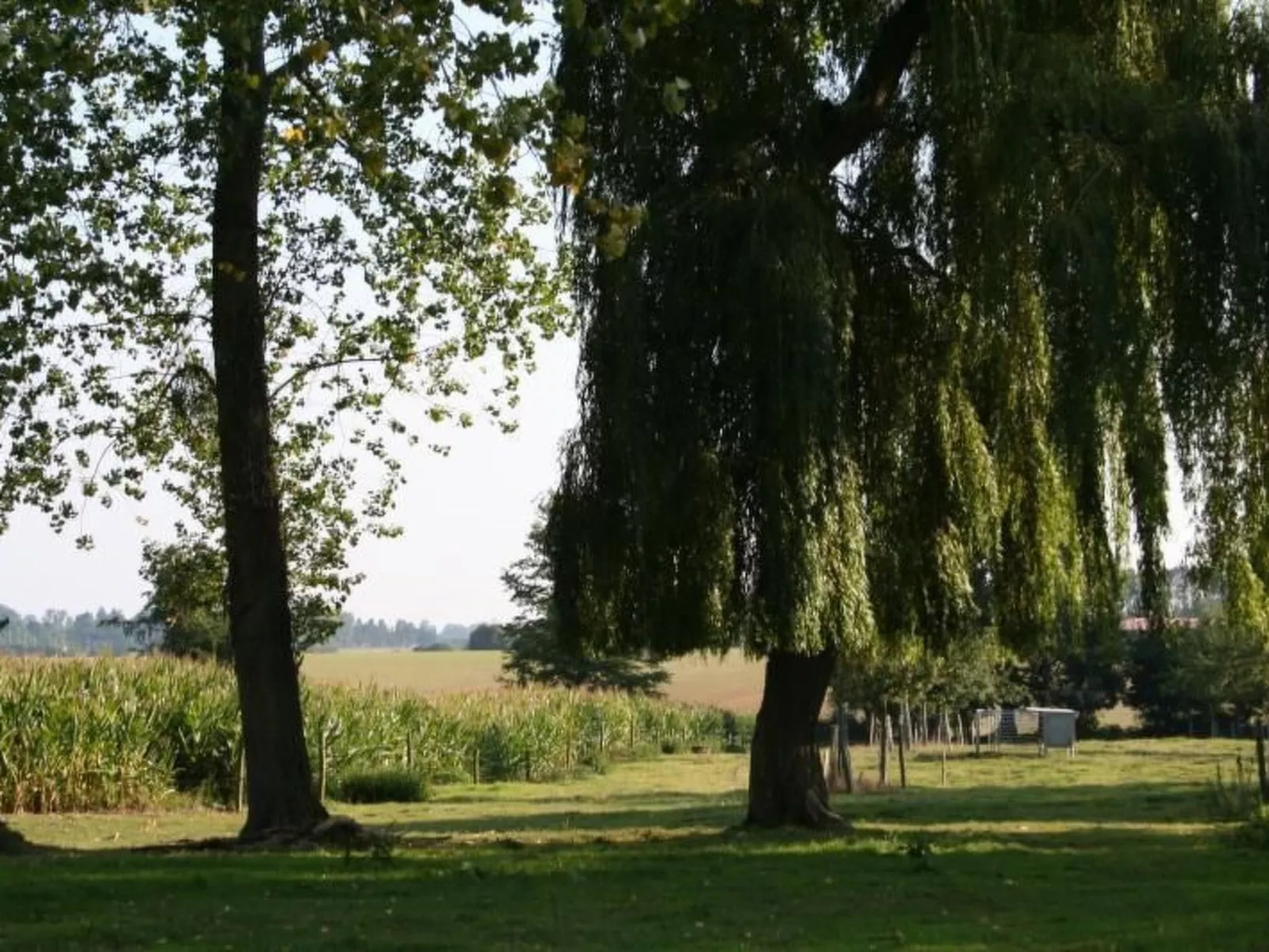 Für acht Personen-Image-tags.info