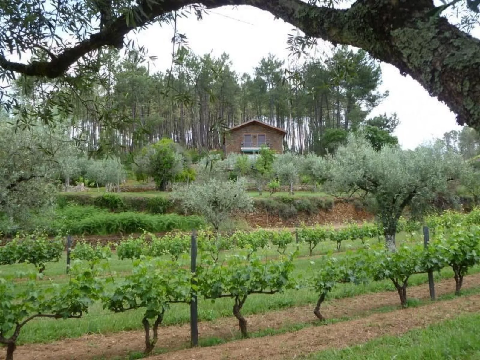 Mit Sonnenterrasse und großem Garten-Draußen