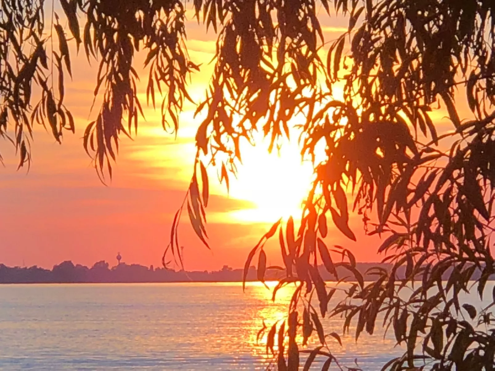 Hütte mit Garten, Grill und Terrasse-Dehors