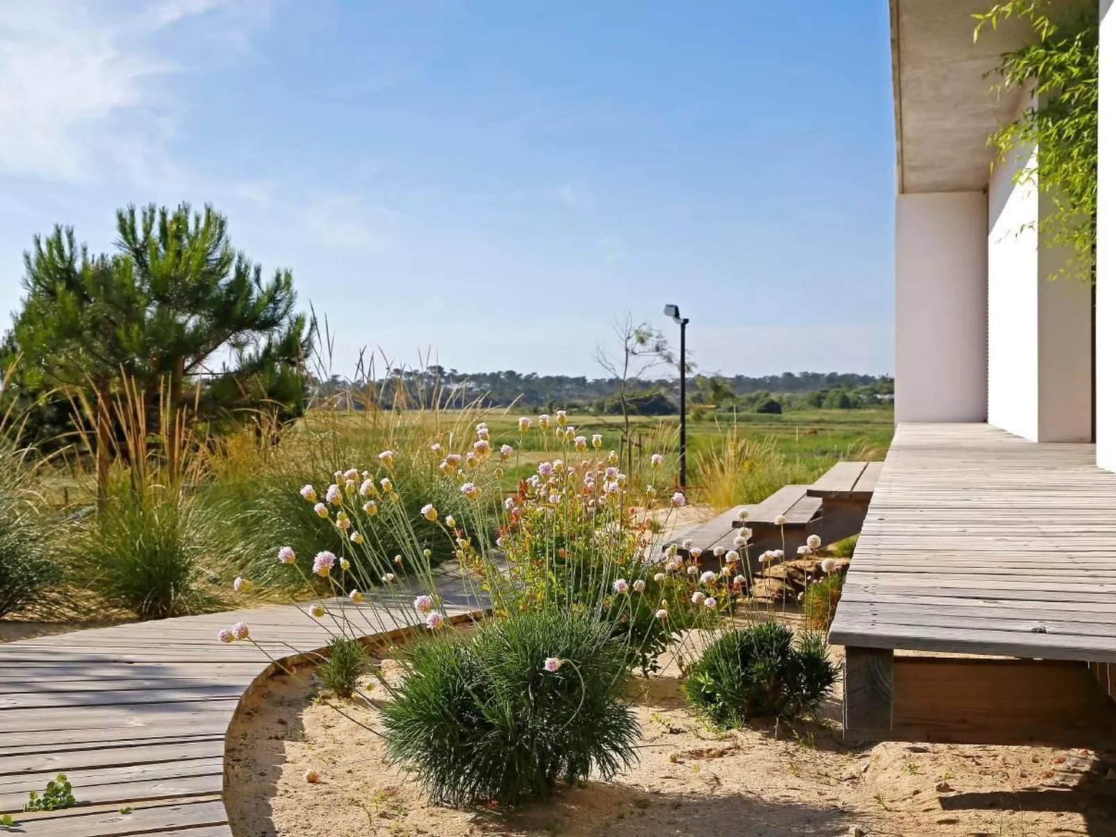 Exklusive Design-Villa in den Dünen, Pool auf dem Dach-Image-tags.info