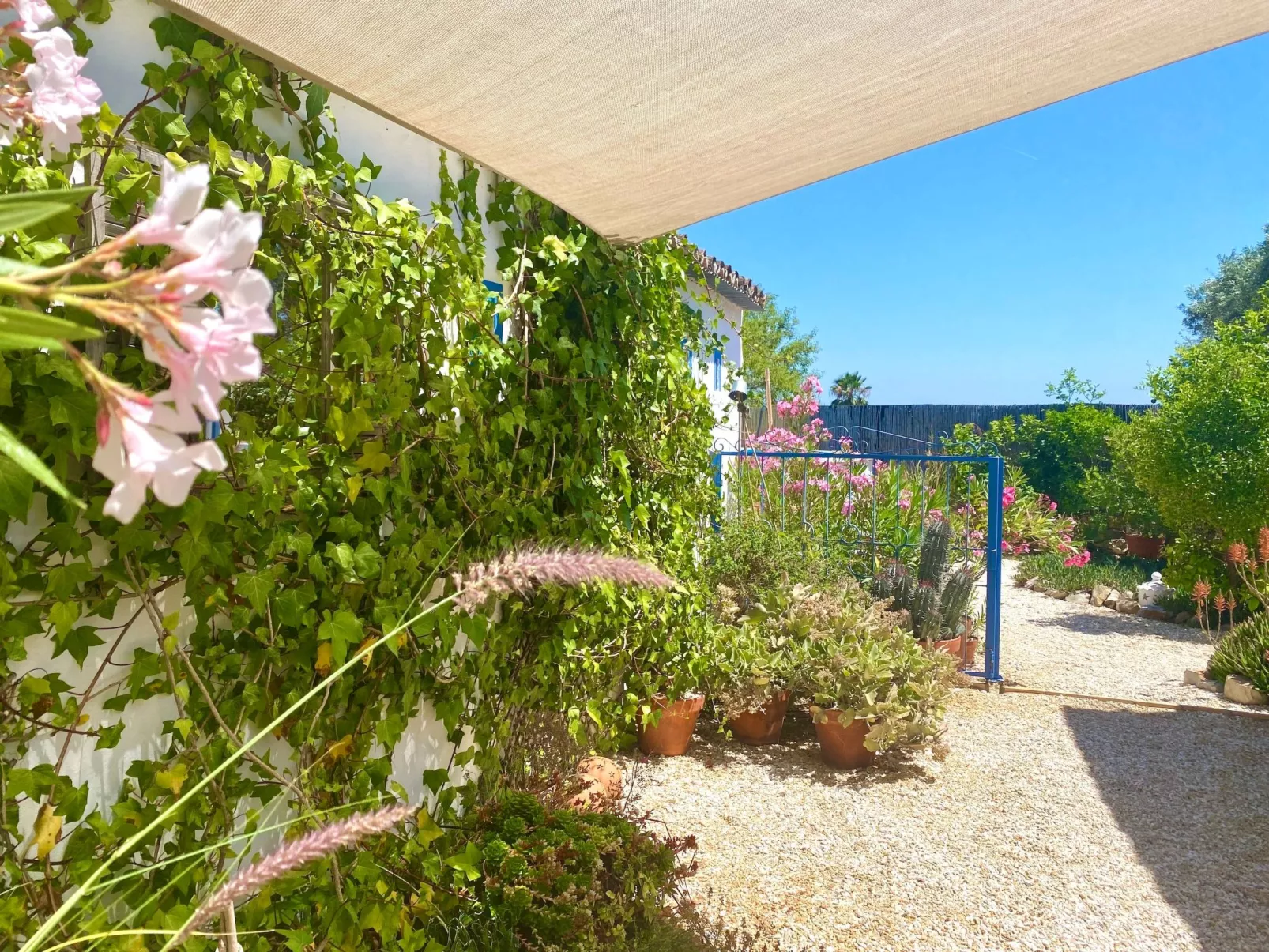 Vila Primaveira , Nur für Erwachsene-Outside