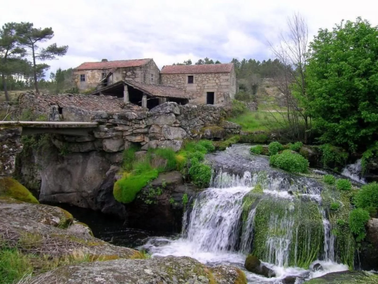 Ferien auf dem Bauernhof mit Weinberg-Outside