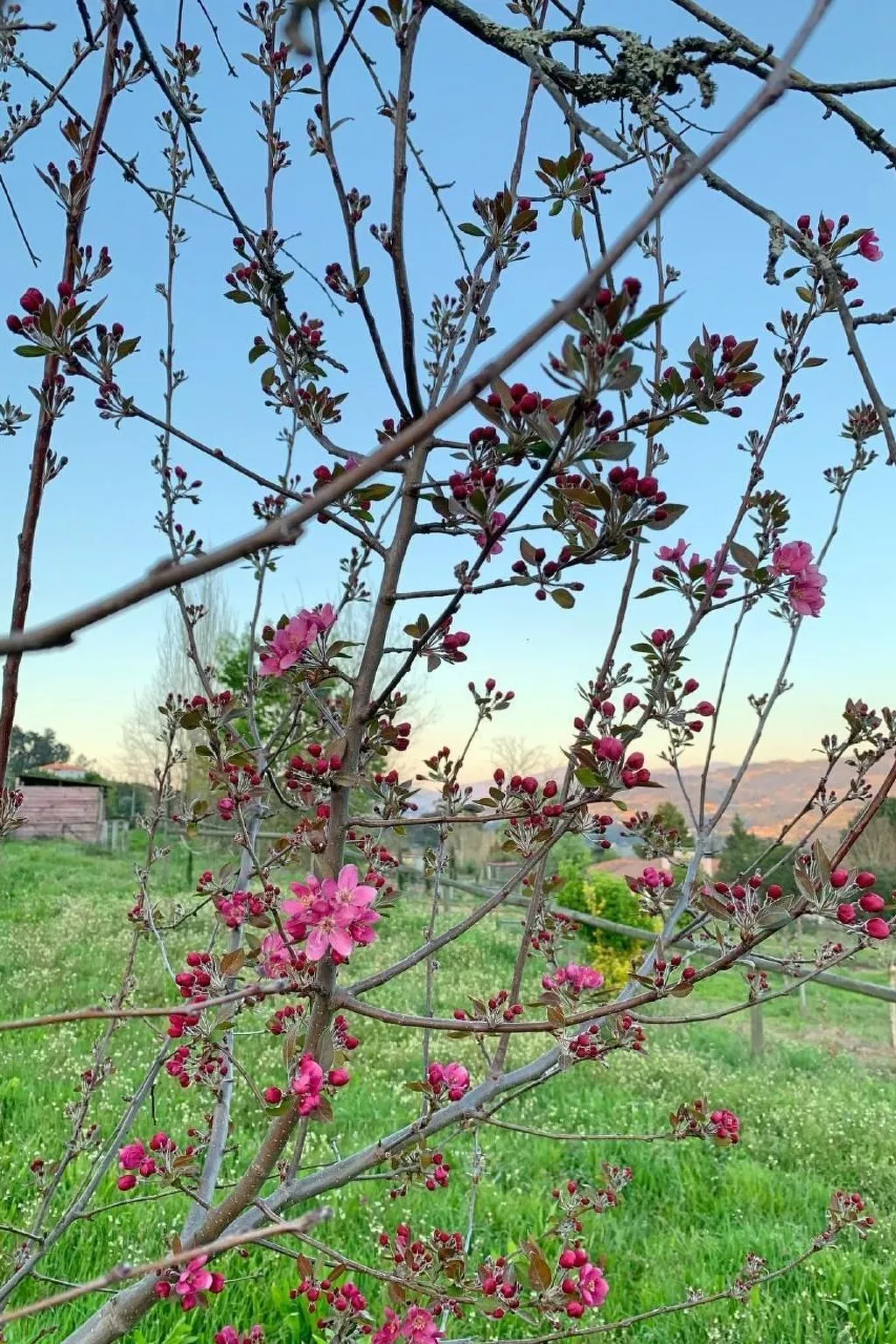 Mit Blick auf das Wasser-Image-tags.info