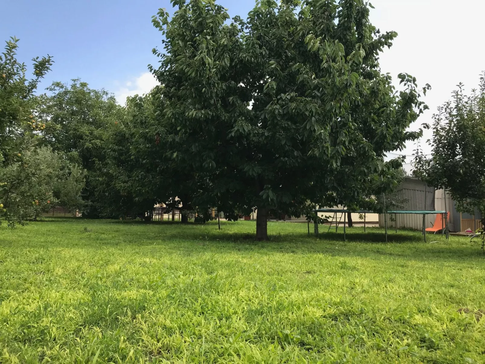 Hungarium am Platte-Dehors