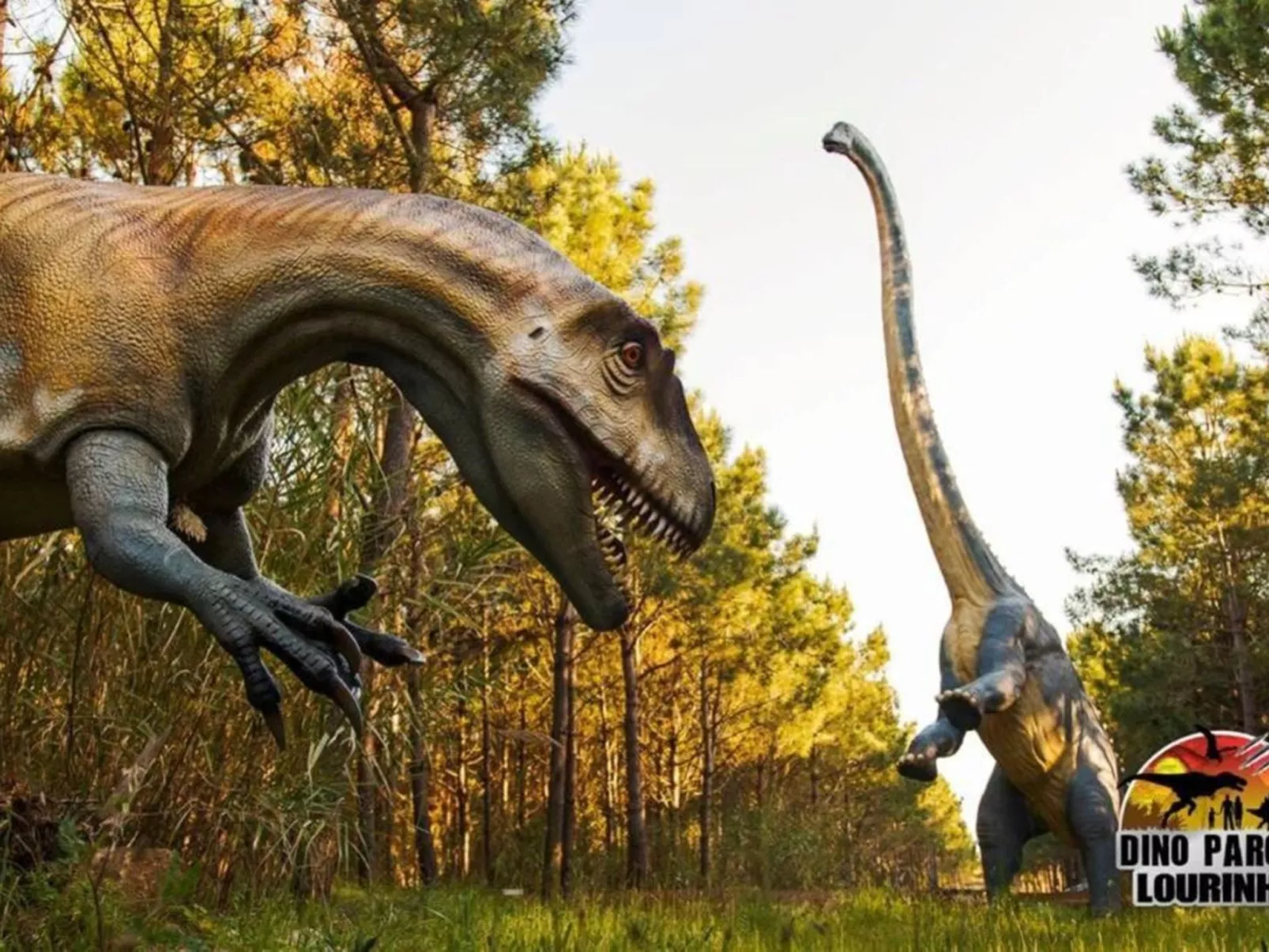 Der Ausguck-Image-tags.info