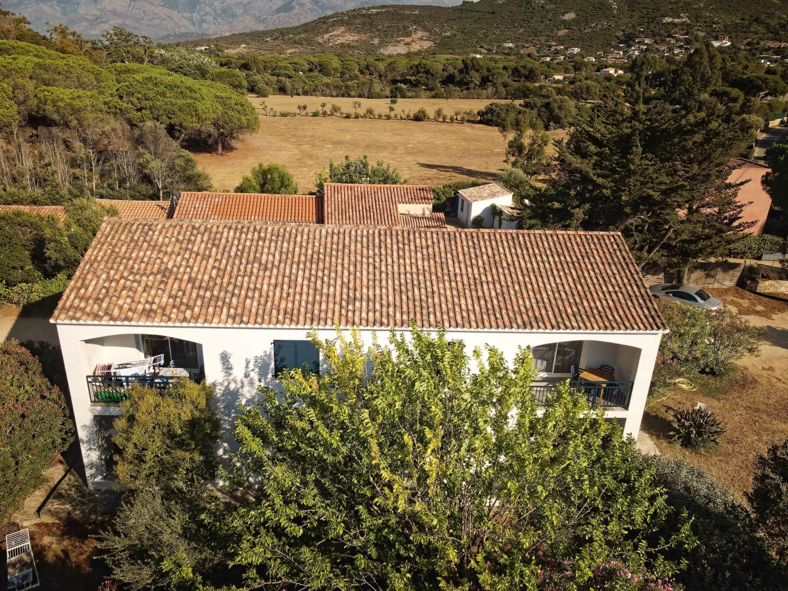 Pinu - Les Muriers-Dehors