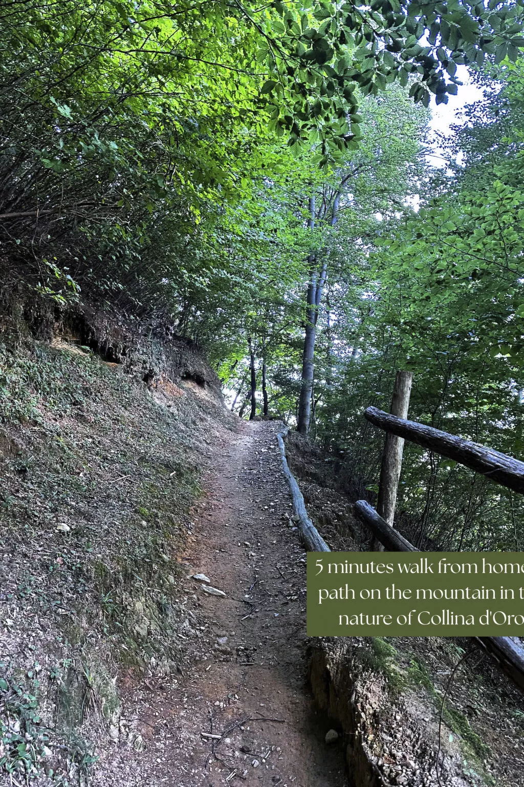 Appartamento vacanze "Luxus-Wohnung"-Outside