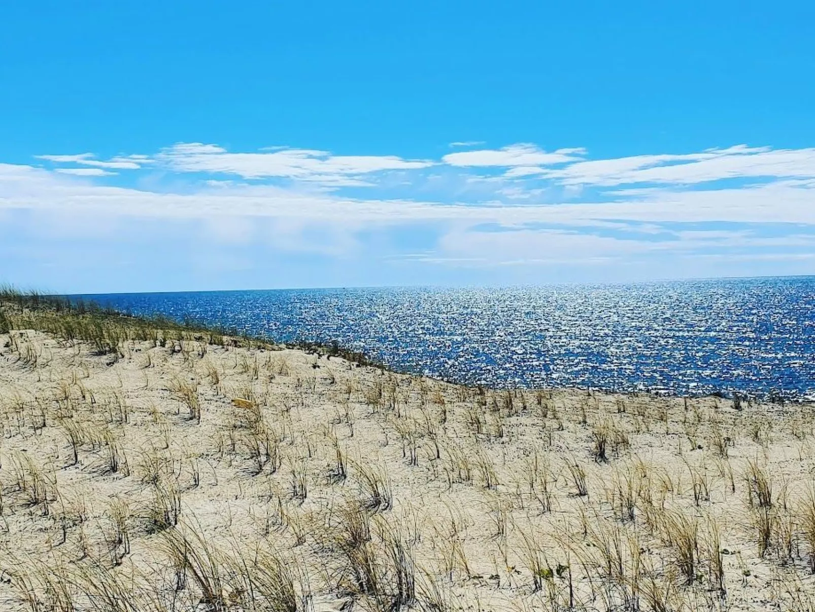 Villa Cocoon Contis-plage 1 chambre-Dehors