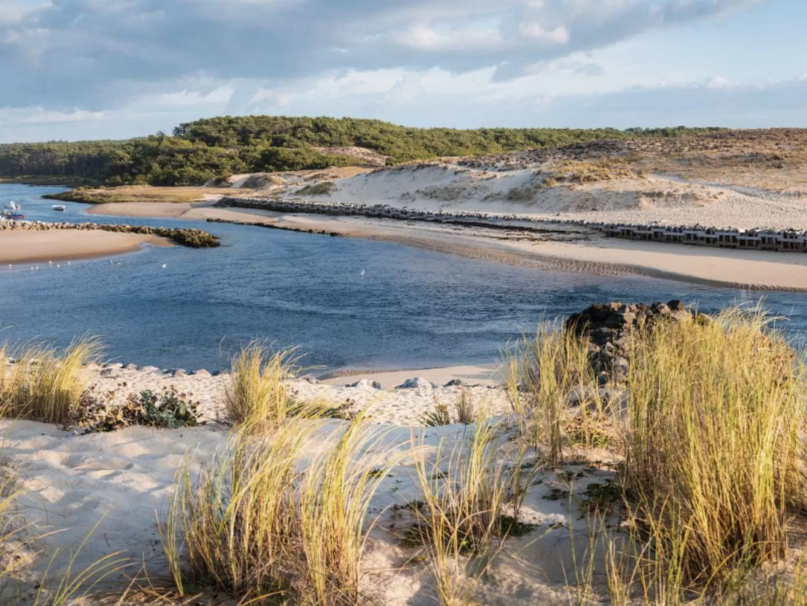 La Maison Pinède-Dehors