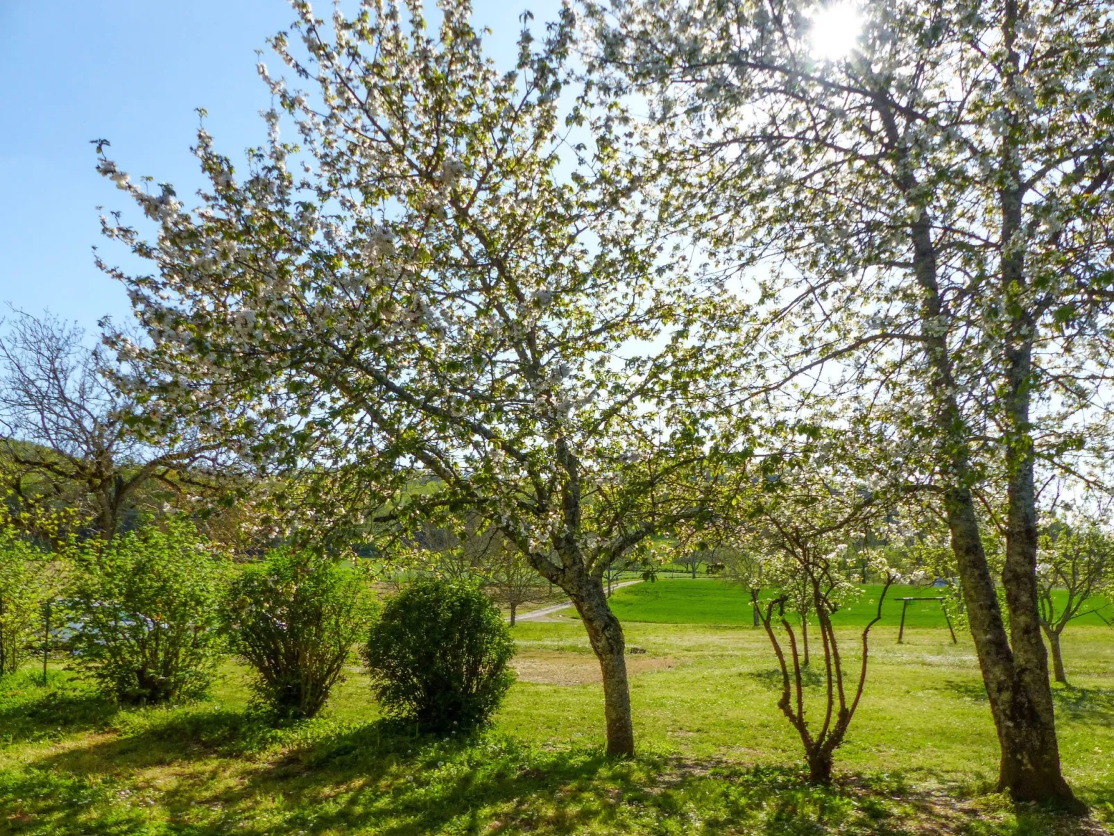 Ehemaliger Bauernhof Le Bonheur in Sainte-Mondane-Outside