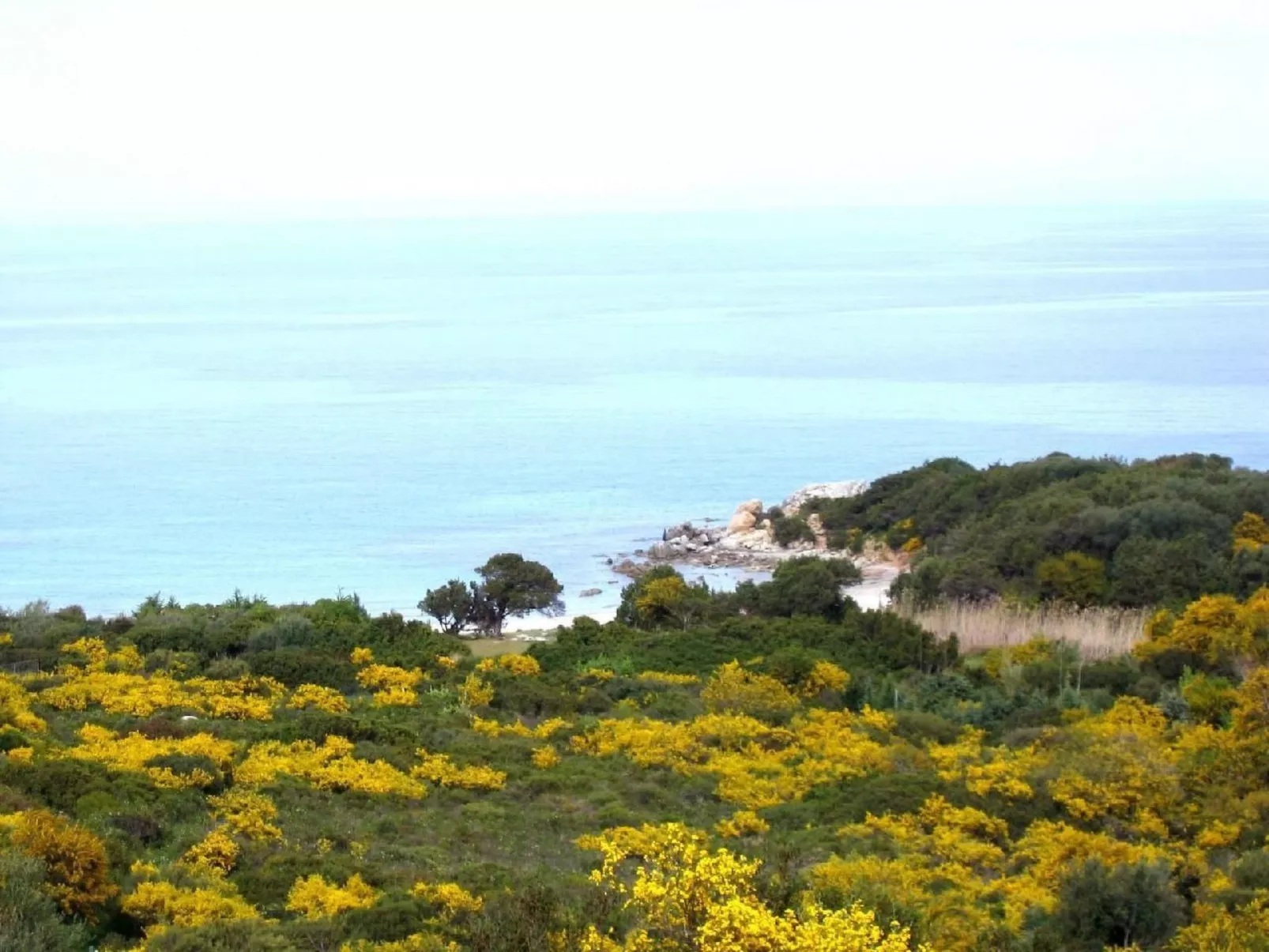 TORTOLI - THE HOME OF THE SEA-Image-tags.info