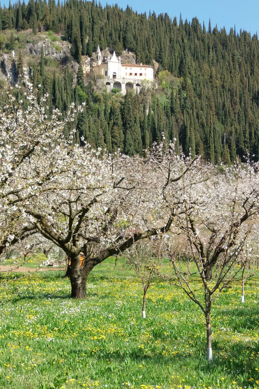 Anwesen mit Garten, Grill und Terrasse-Draußen