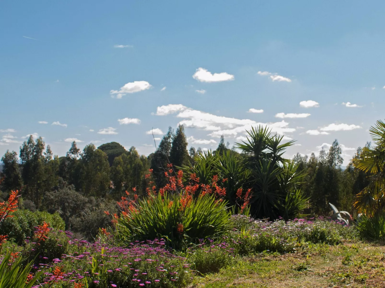 Monte Horizonte Casa Passaro Öko und Natur-Draußen
