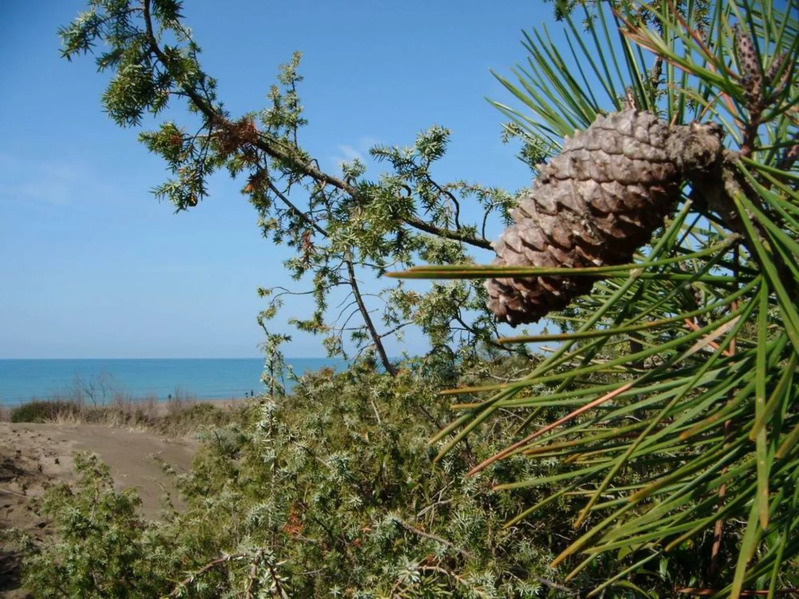 Nautilus' Wohnung direkt am Wasser-Dehors