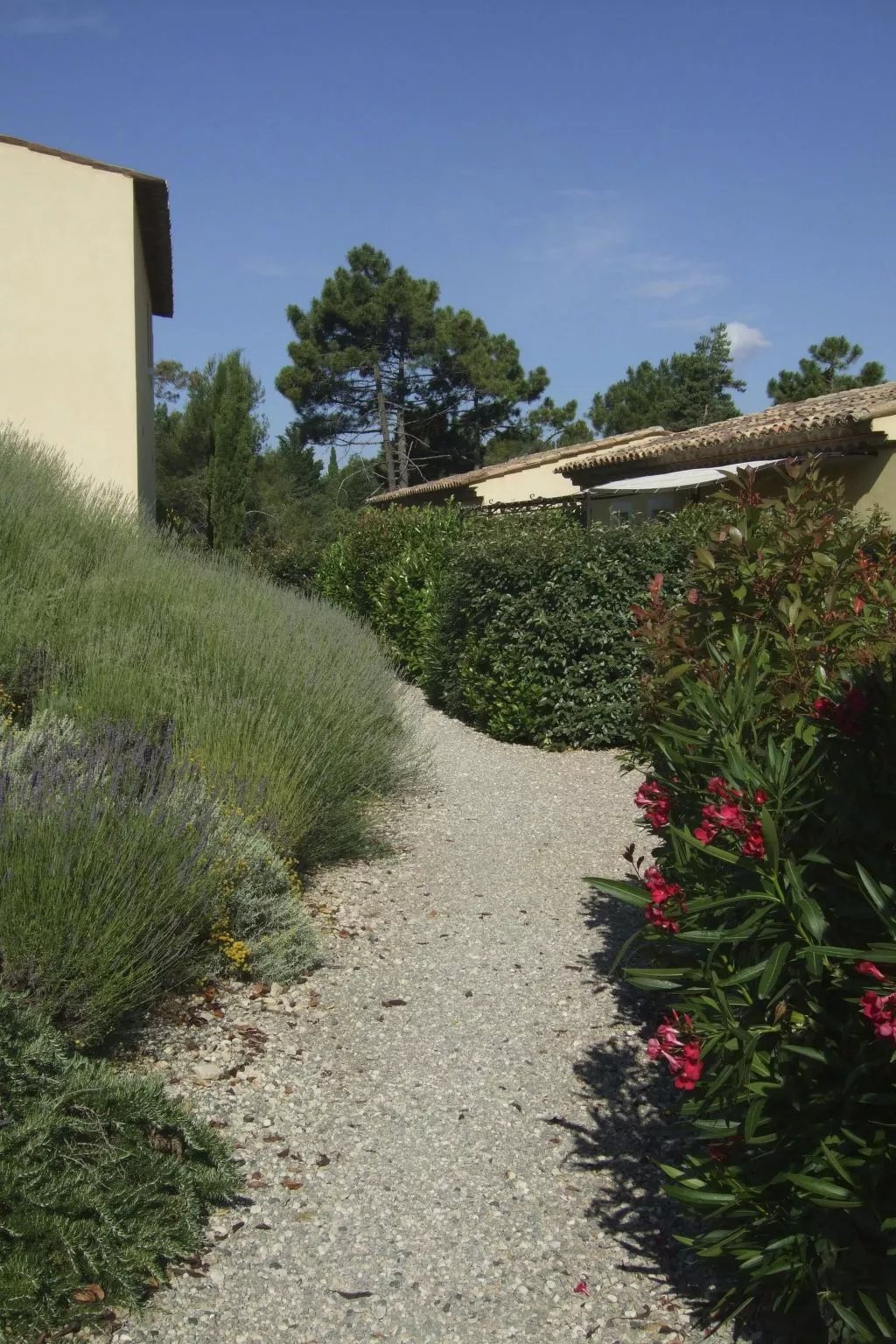 Klimatisierte Wohnung mit Garten-Draußen