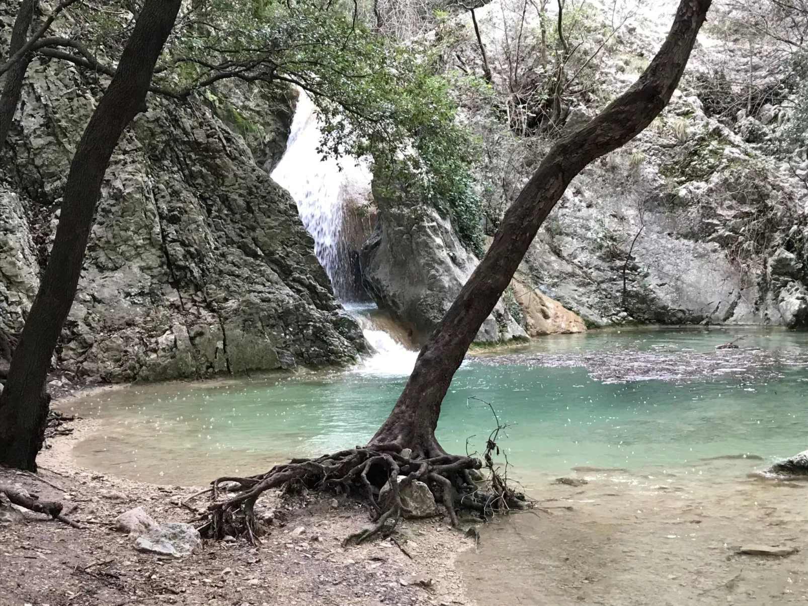 Mimosa,Wohnblock 1-Draußen