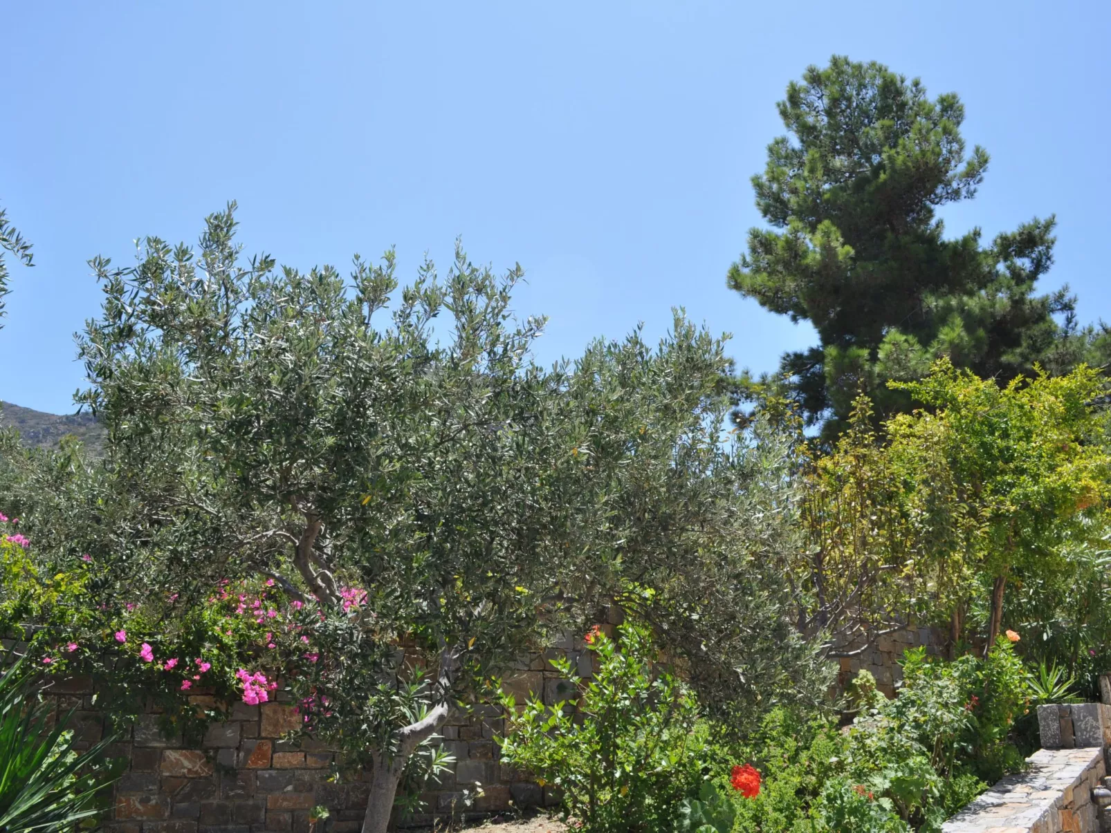 Nefeli Blue Villa in altem Olivenhain, Meerblick-Outside
