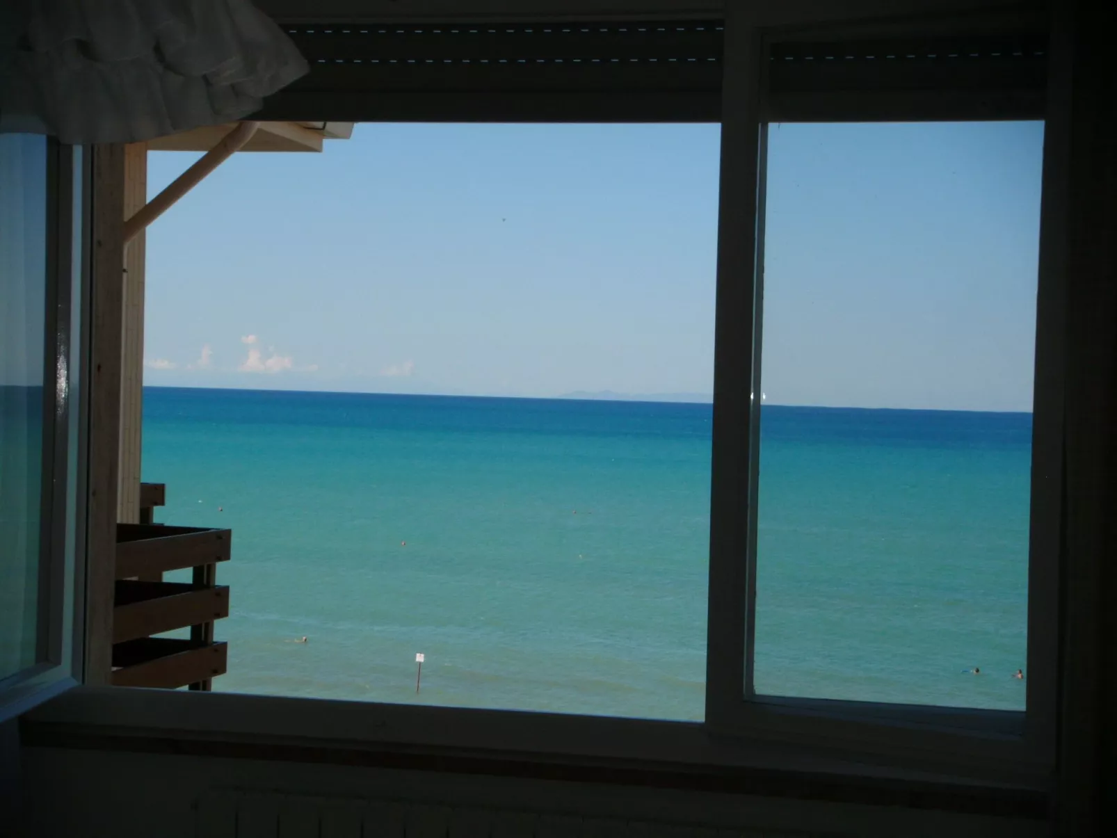 Rododendro von Holiday World-Image-tags.info