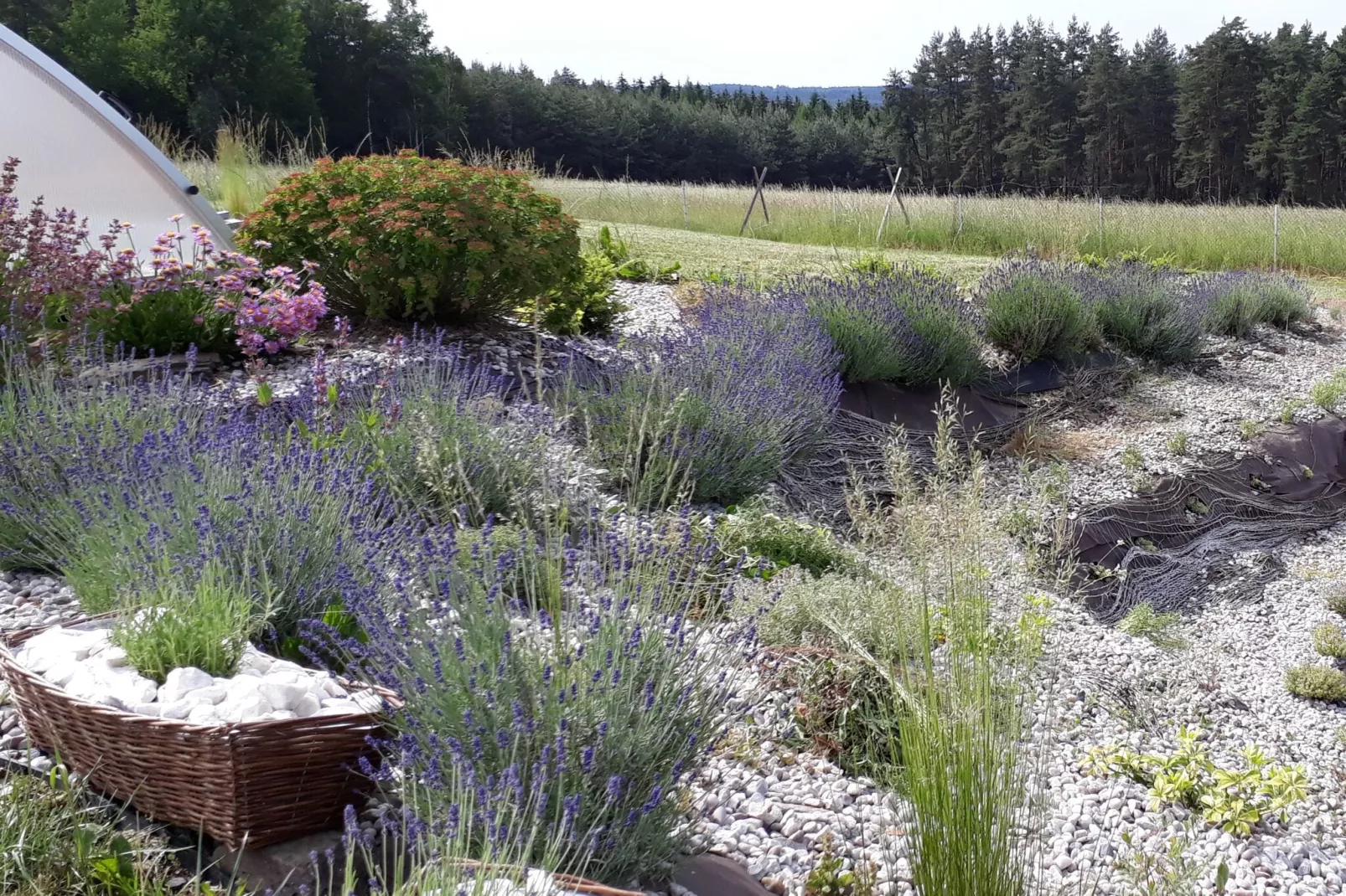 Ferienhaus Blanka-Gardens summer