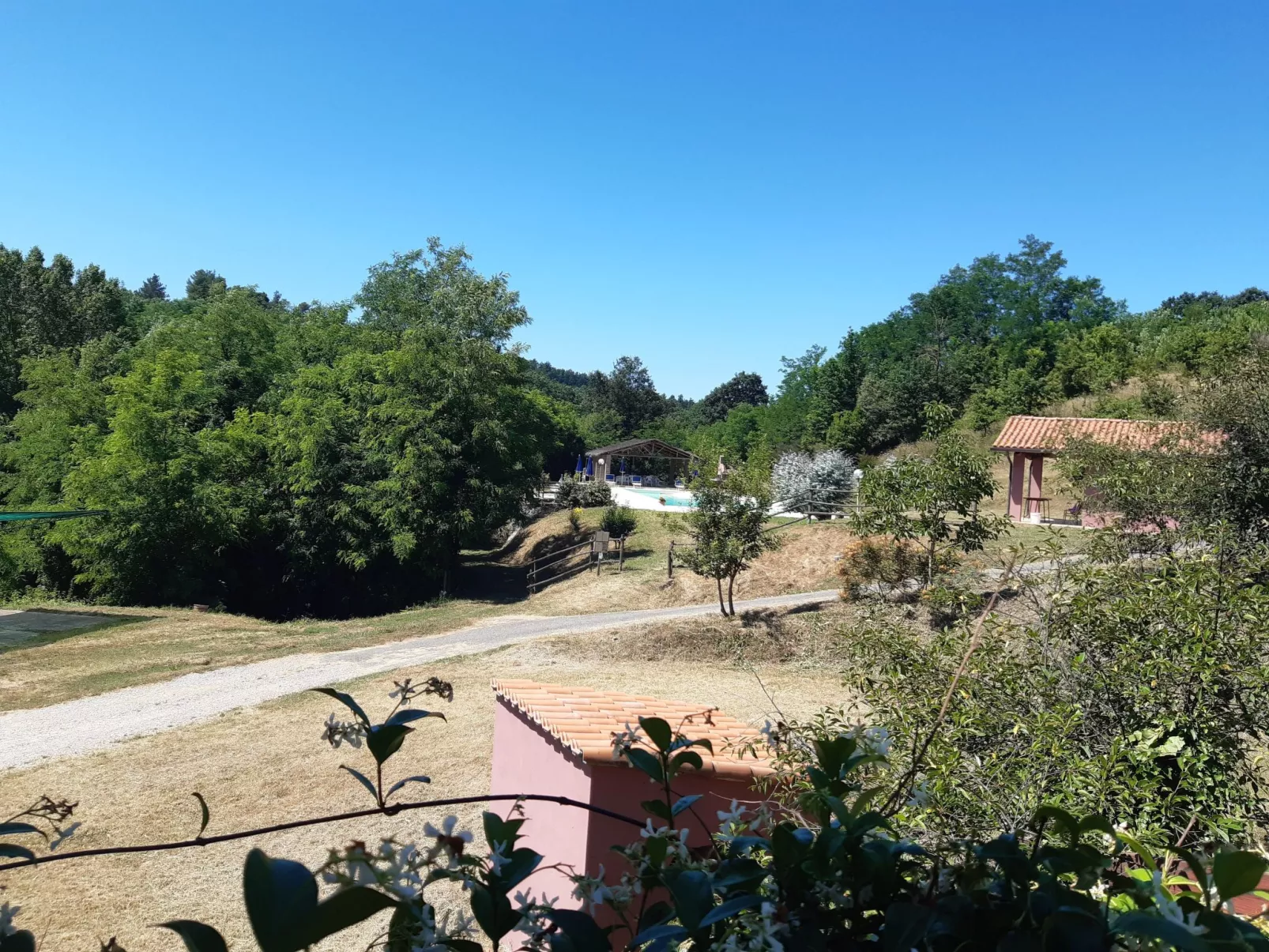 Girasole Haus mit Pool in Fauglia-Draußen