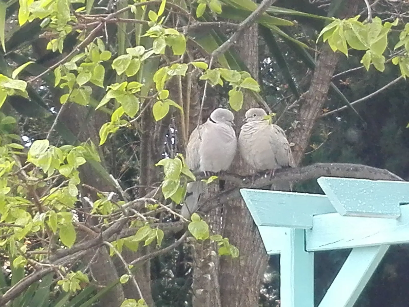 In Méditerranée mit Grill, Garten und Terrasse-Draußen