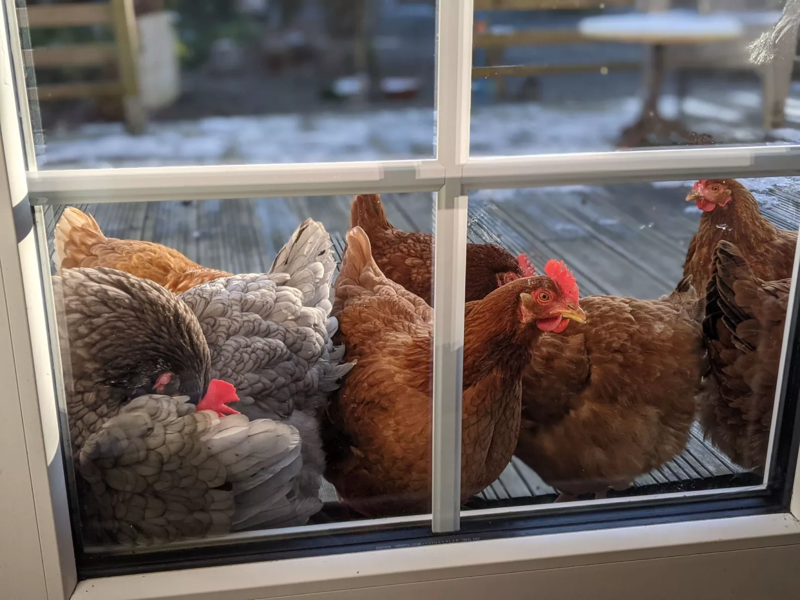 In Vesly mit Beheiztem gemeinsamem Pool-Dehors