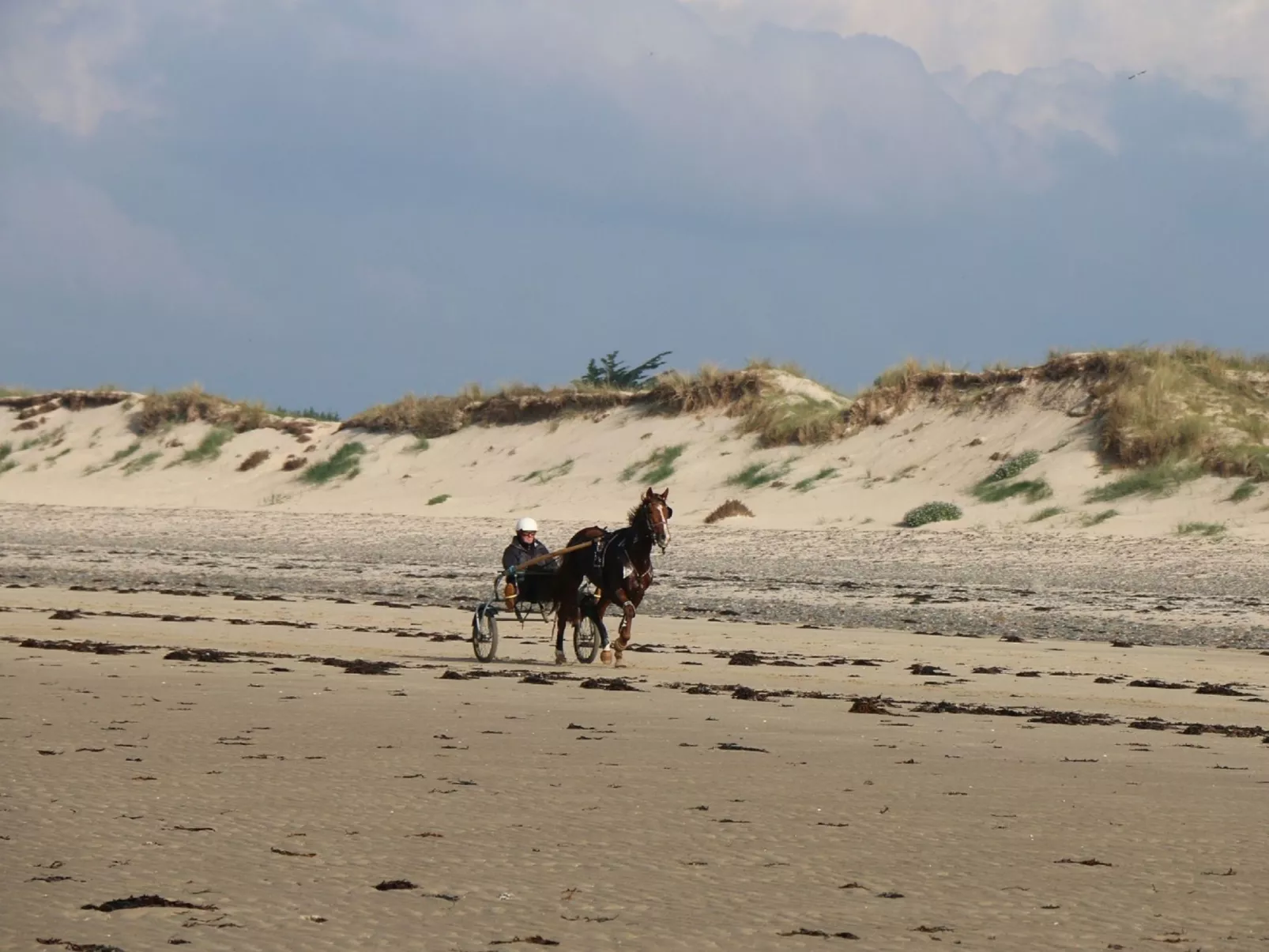 L'Escale dunes, Strände 20 Meter entfernt, Meerblick-Dehors