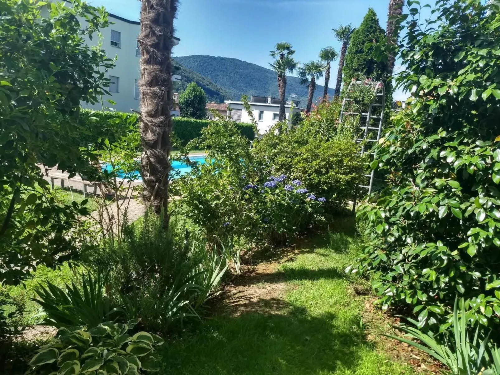 2 Zimmer Gartenwohnung mit Pool-Draußen