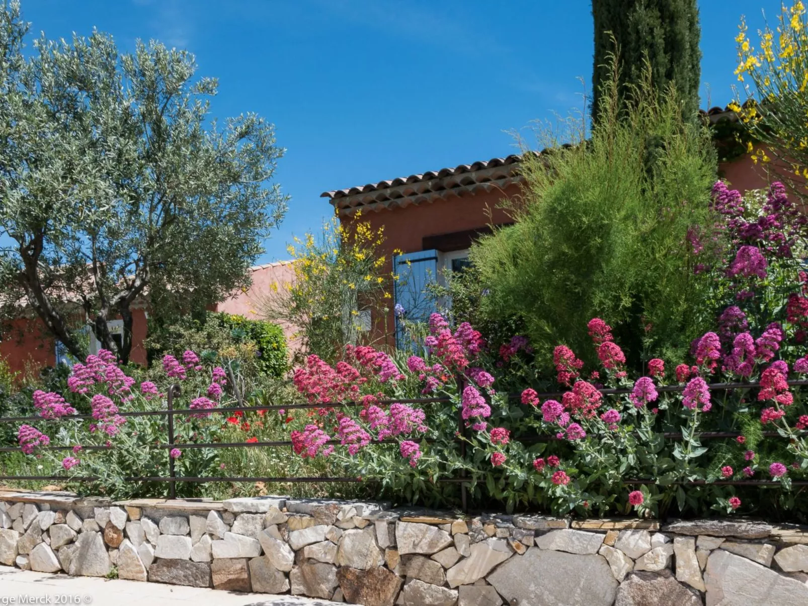 Les amandiers-Image-tags.info