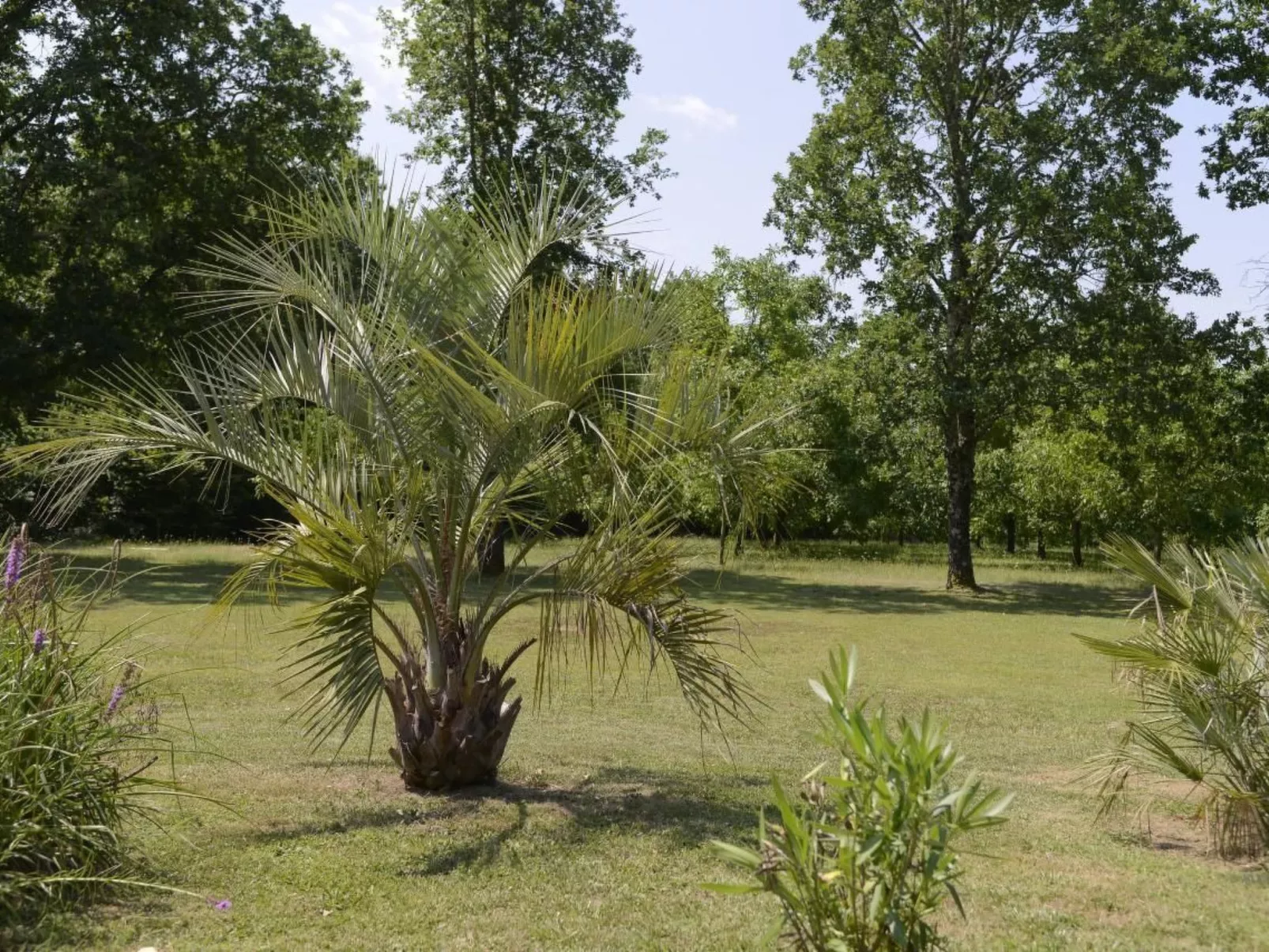 Villa DUXCAAR Beaum.-Draußen