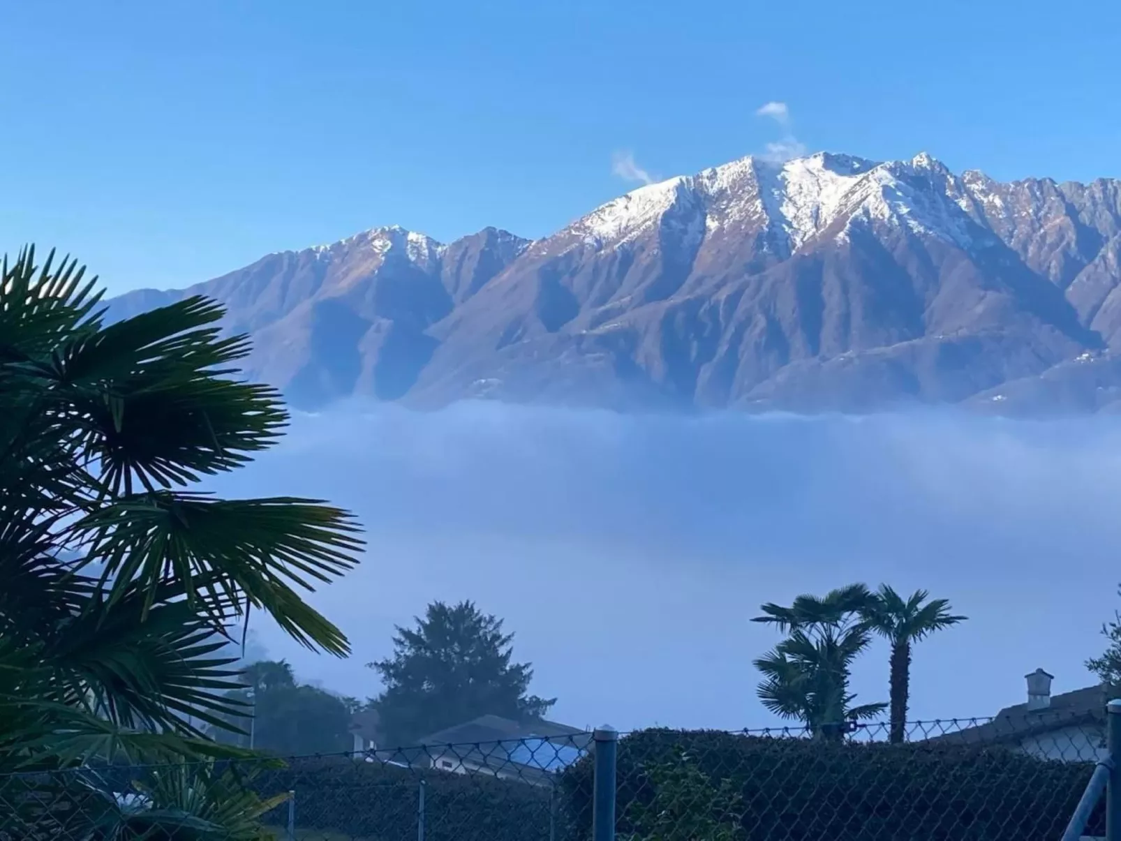 RESIDENZA 7 NANI-Image-tags.info