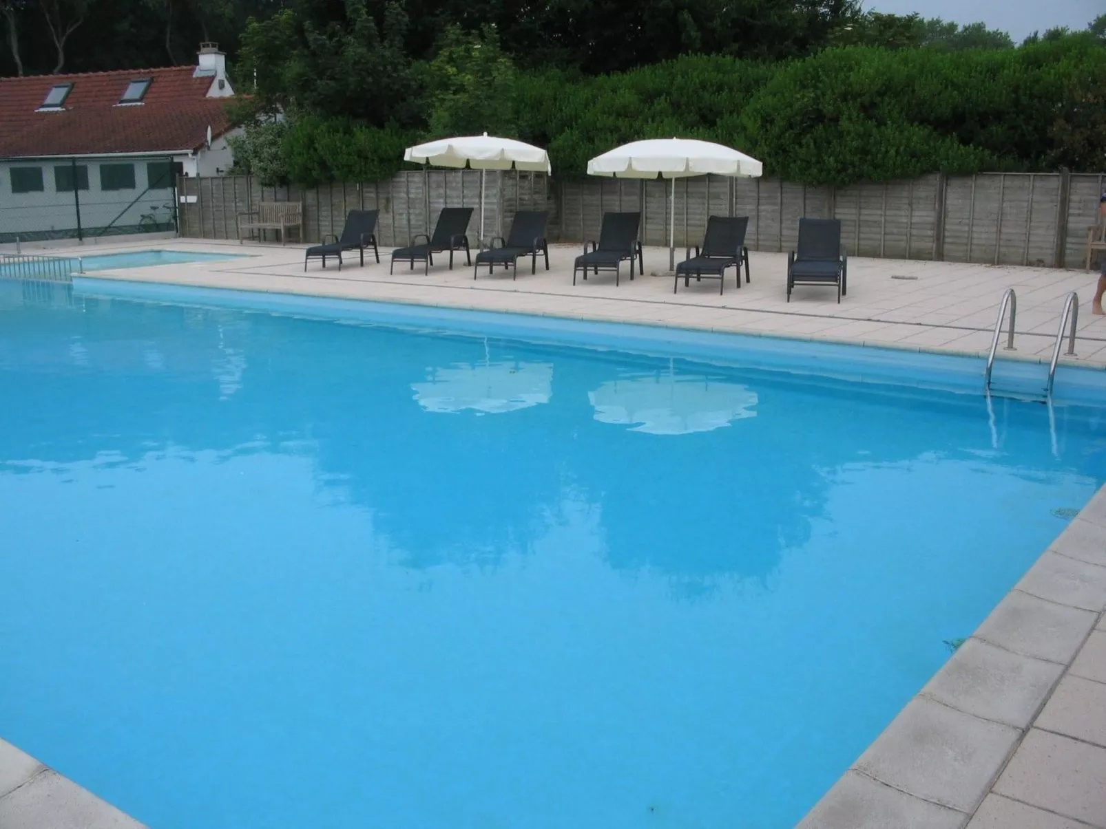 Jonathan Livingston Möwe Ferienhaus-Image-tags.info