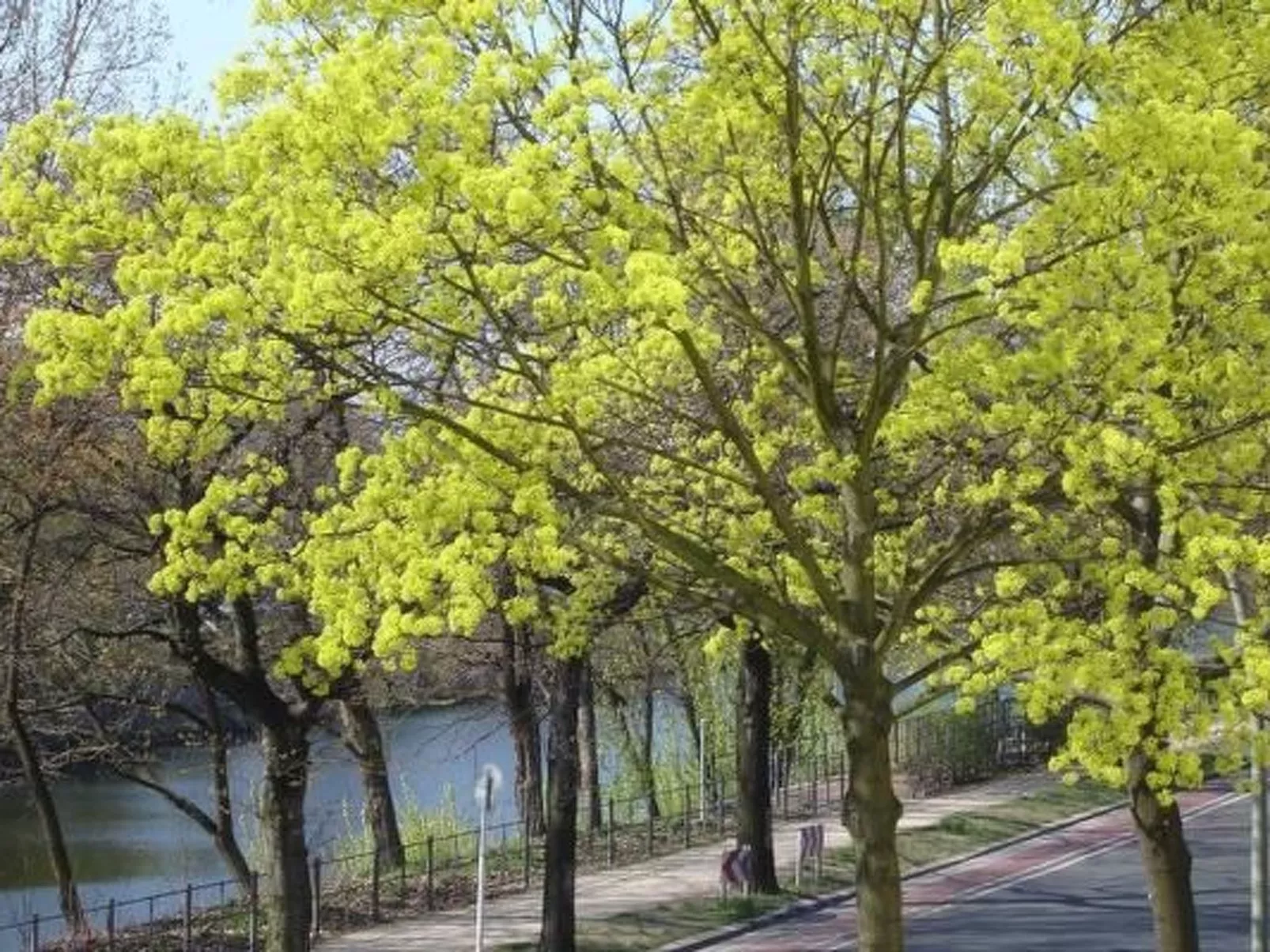 Altbauwohnung in Berlin - Outside
