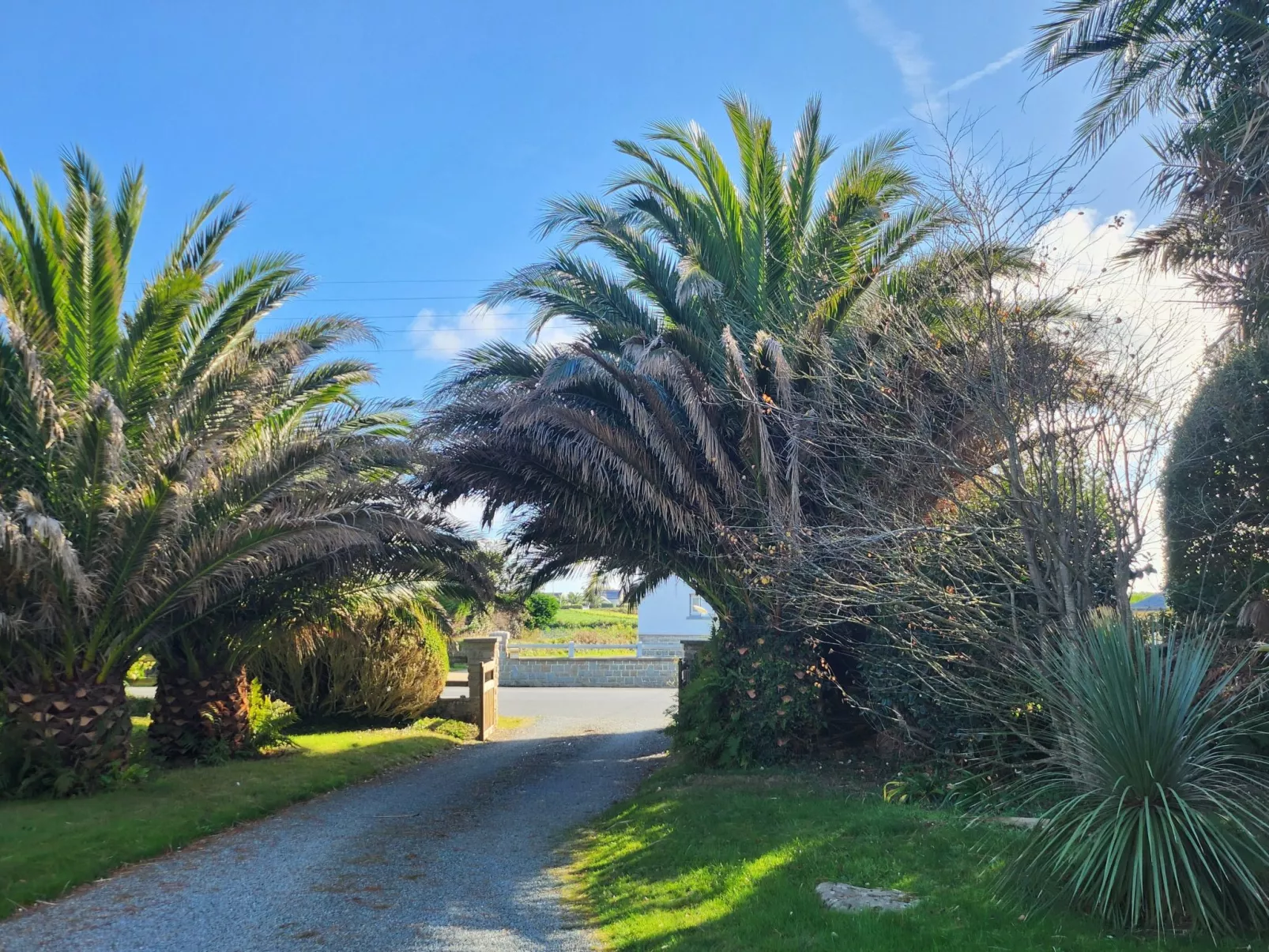 Mit Blick auf das Wasser-Dehors