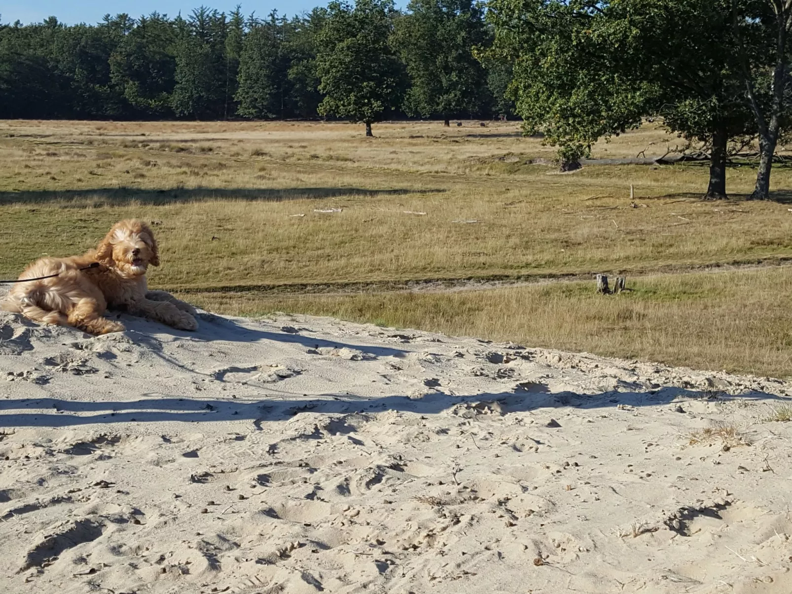 Geschmackvoll eingerichtetes Bauernhaus aus dem 19.-Dehors