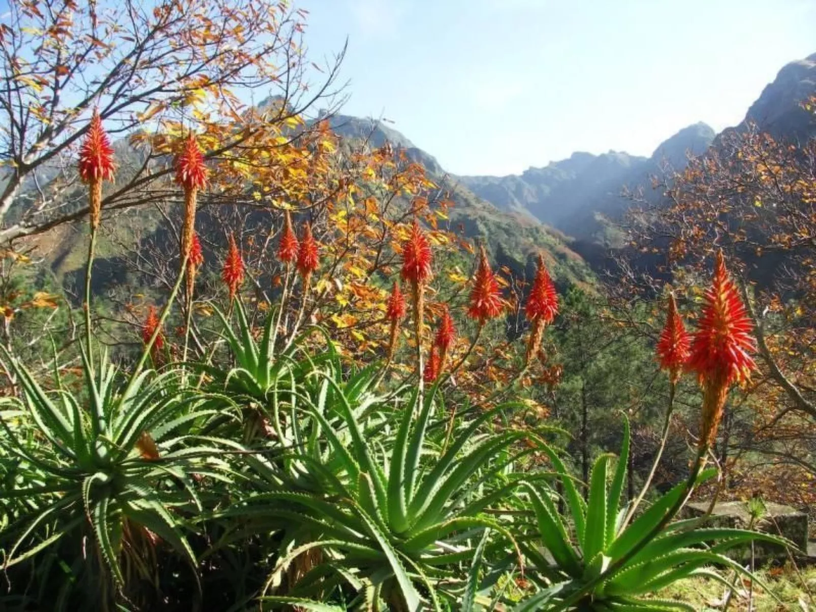 Seaview Refugium 633-Image-tags.info